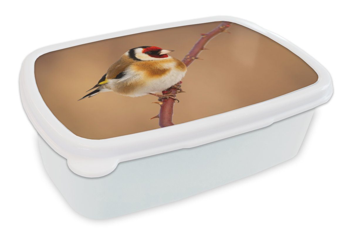 MuchoWow Lunchbox Kropftaube - Kunststoff, weiß Vogel Jungs Tiere, Erwachsene, Kinder und Brotdose, Brotbox - und für Mädchen für (2-tlg)