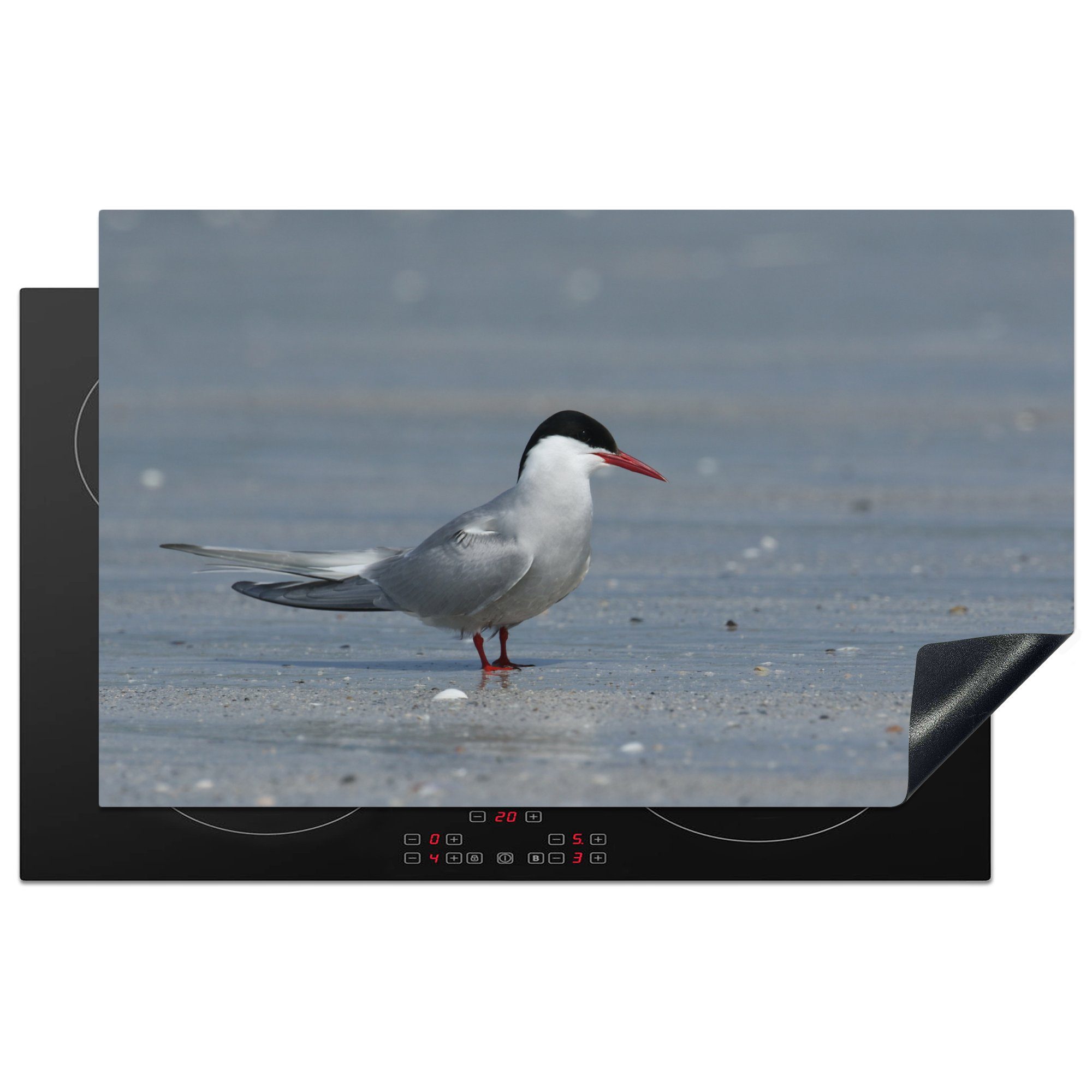 MuchoWow Herdblende-/Abdeckplatte Küstenseeschwalbe am Strand, cm, Arbeitsplatte Vinyl, Ceranfeldabdeckung, tlg), für (1 83x51 küche