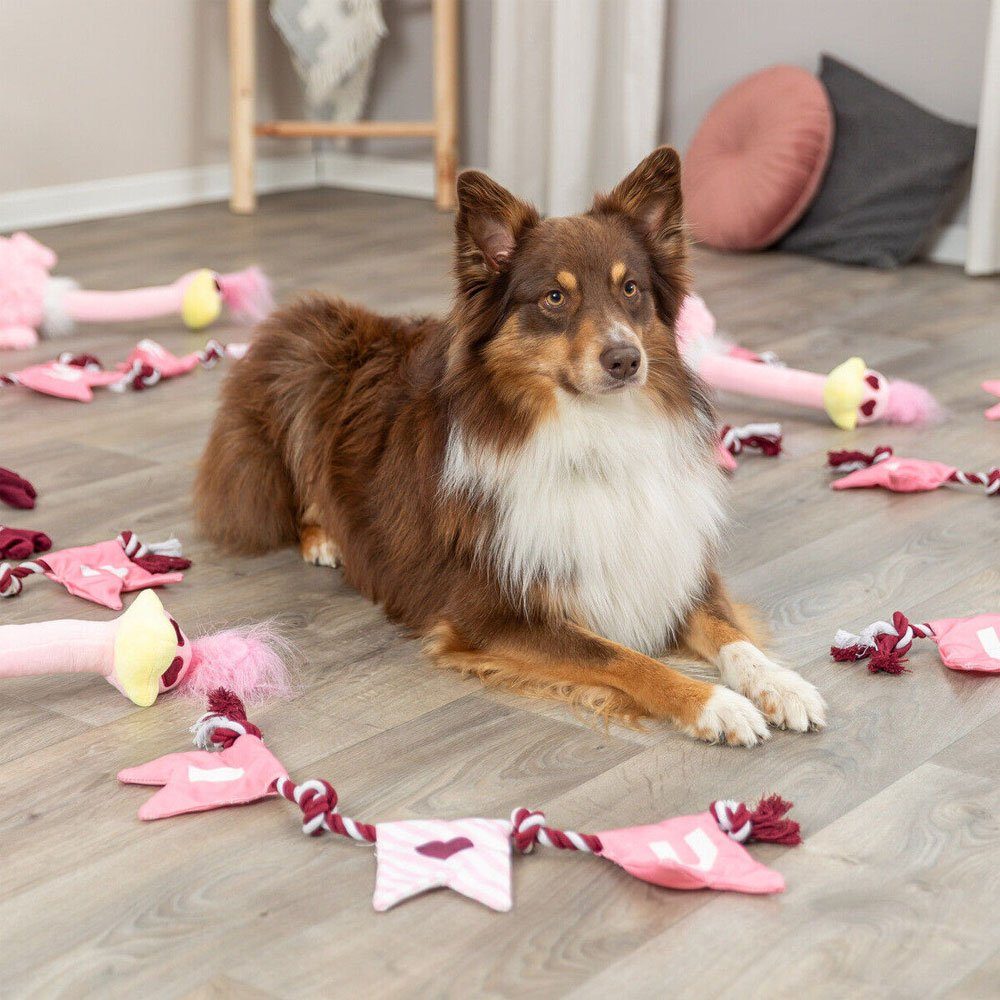 TRIXIE Tierkuscheltier Trixie Hundespielzeug Valentines Strauß günstig online kaufen