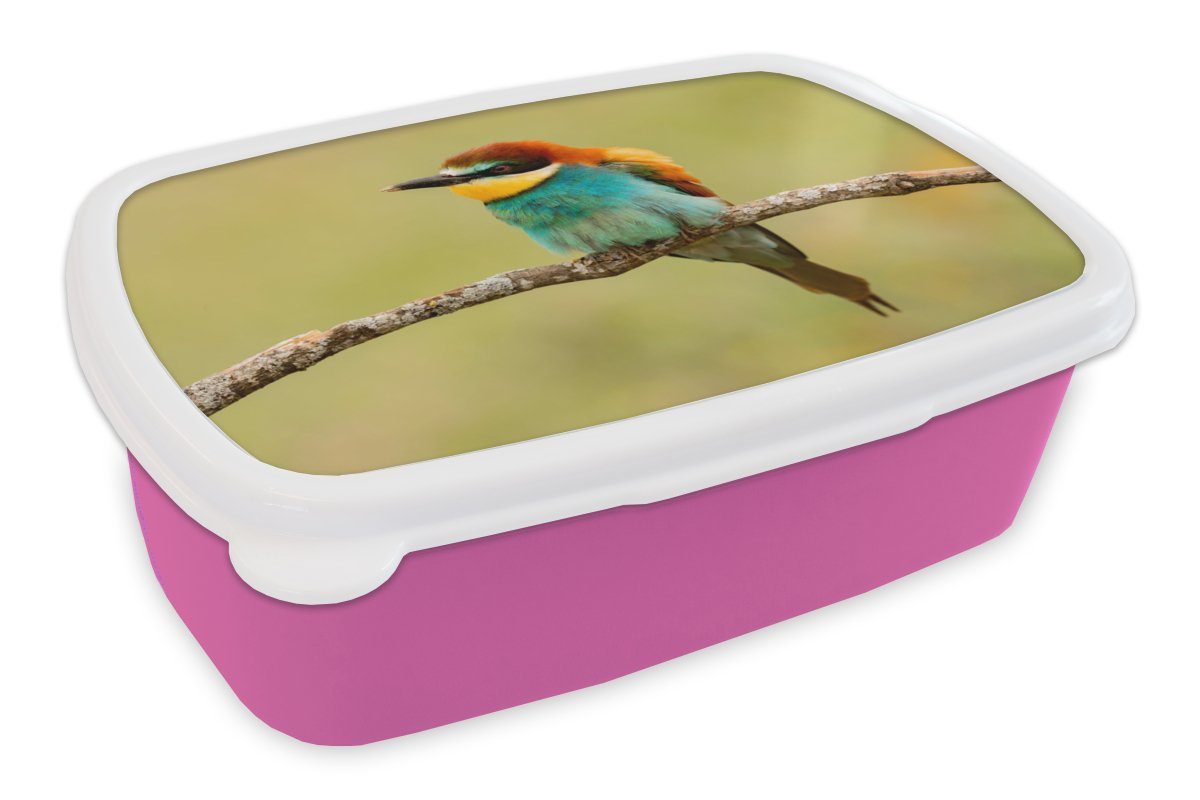 MuchoWow Lunchbox Vogel - Bienenfresser - Tiere, Kunststoff, (2-tlg), Brotbox für Erwachsene, Brotdose Kinder, Snackbox, Mädchen, Kunststoff rosa