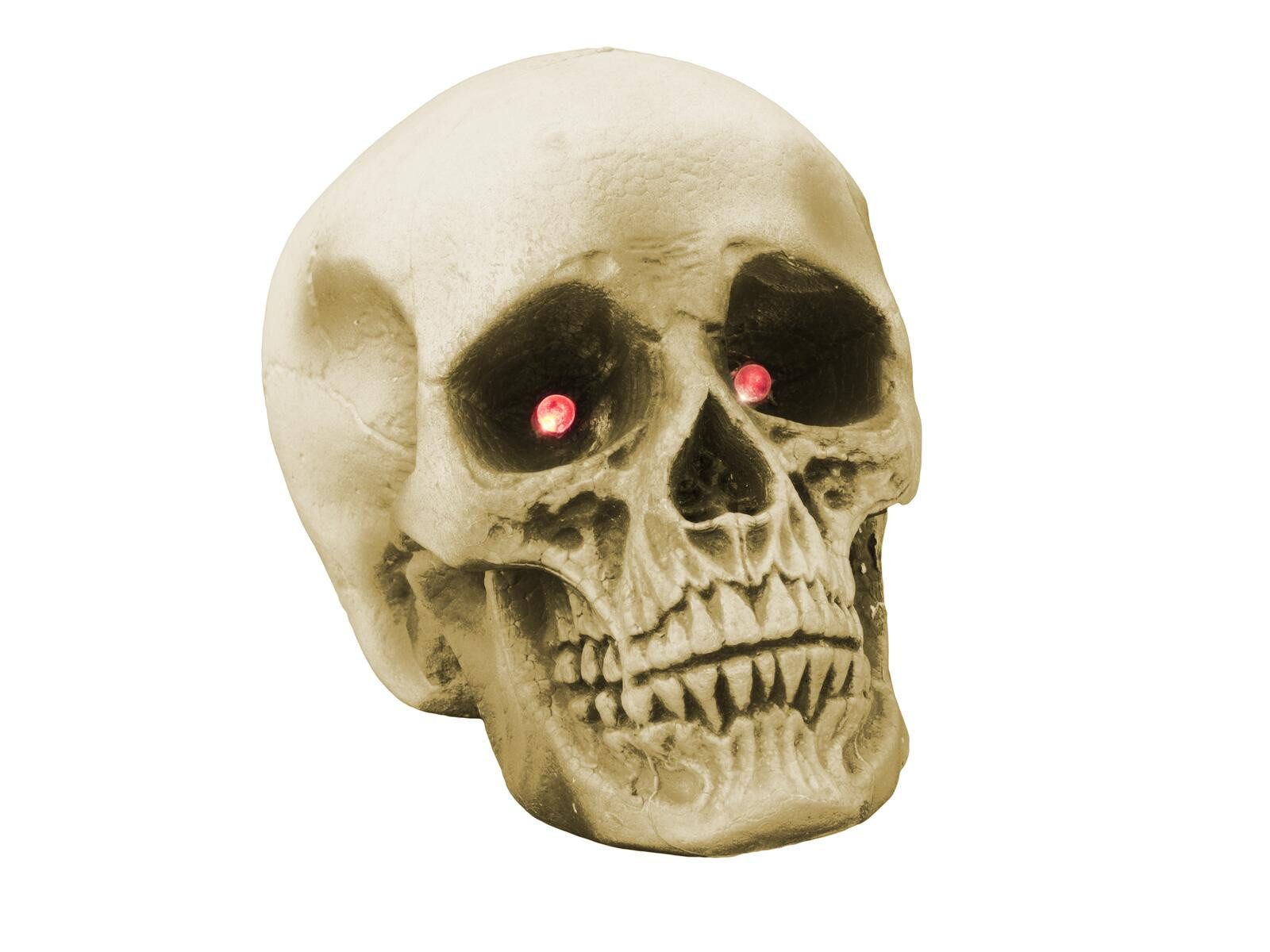 EUROPALMS Dekofigur EUROPALMS Halloween Schädel 21x15x15cm günstig online kaufen