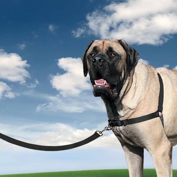 PetSafe Hunde-Halsband Hundegeschirr Easy Walk XL Schwarz, Nylon
