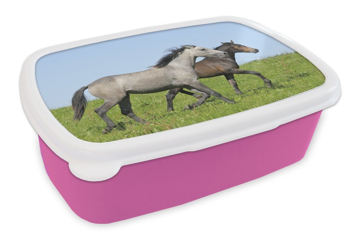 MuchoWow Lunchbox Mädchen, Erwachsene, Tiere Snackbox, Brotbox für Brotdose rosa - Gras, Kinder, Kunststoff Pferde (2-tlg), - Kunststoff