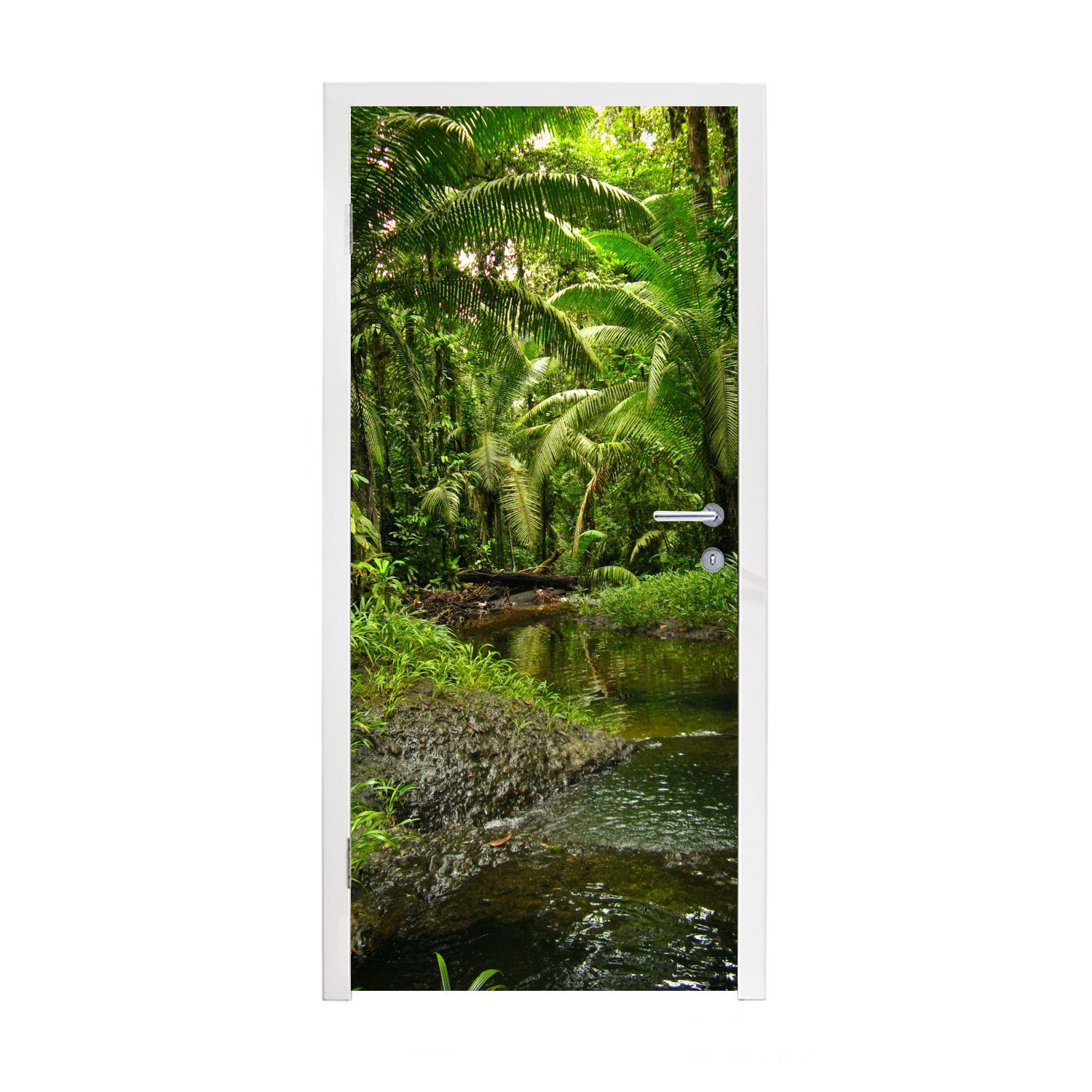 MuchoWow Türtapete Tropischer Regenwald in Kolumbien, Matt, bedruckt, (1 St), Fototapete für Tür, Türaufkleber, 75x205 cm