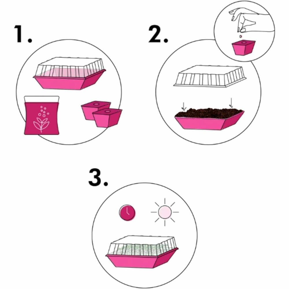 hexagro Anzuchttopf Set Sommersalate, mit 3 Sorten Samen