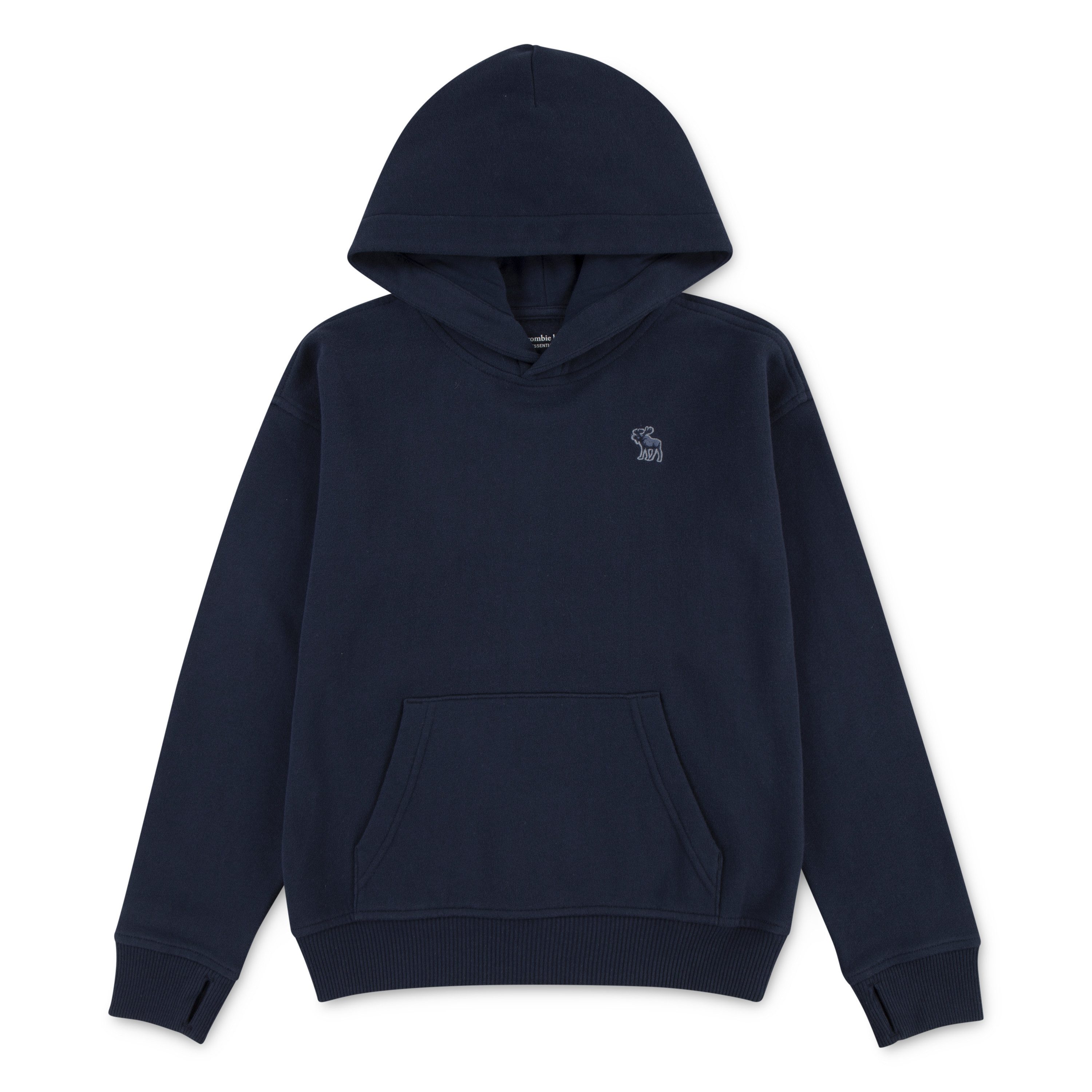 Abercrombie Kids Kapuzensweatshirt AFB ESSENTIALS FLEECE HO mit Logo-Stickerei, for boys