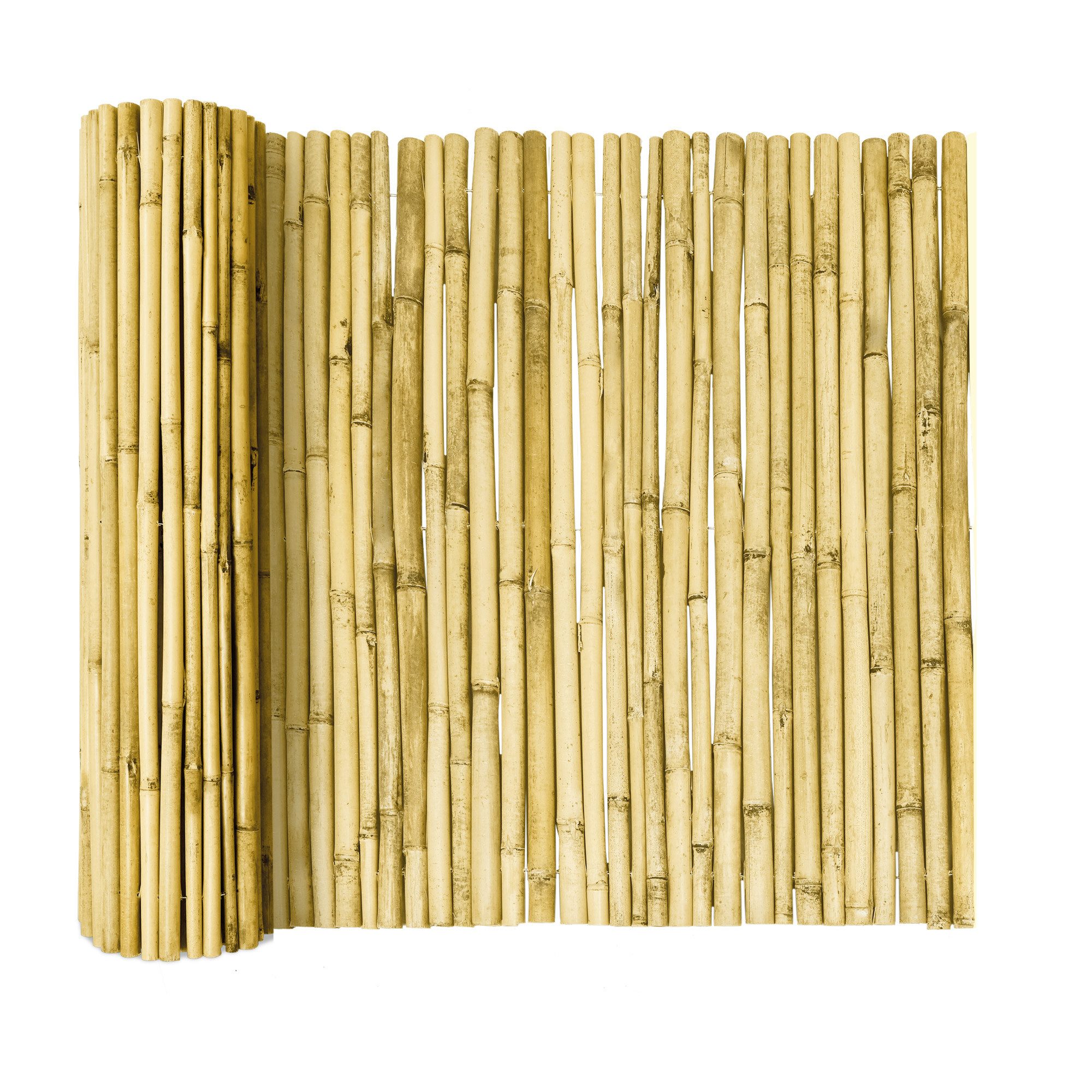 Sol Royal Sichtschutzzaunmatten Hell Glänzend Premium Bambus Sichtschutz 80 hoch SolVision B99, Bambusrohre Ø2-3cm Witterungsbeständig Bambuszaun