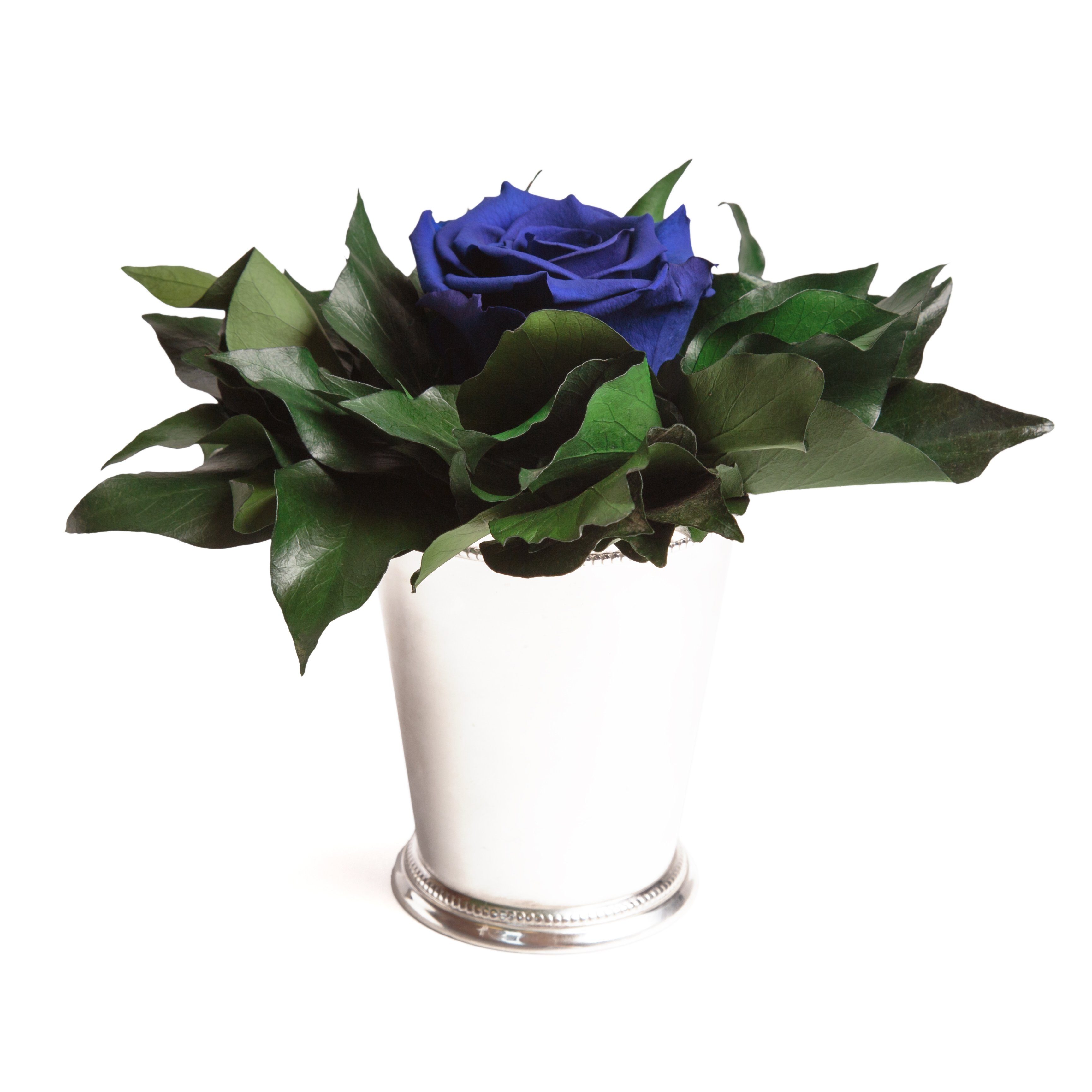 Künstliche Zimmerpflanze 1 Infinity Blume Becher silberfarben Geschenkidee für Frauen Rose, ROSEMARIE SCHULZ Heidelberg, Höhe 12 cm, Echte Rose lange haltbar Blau
