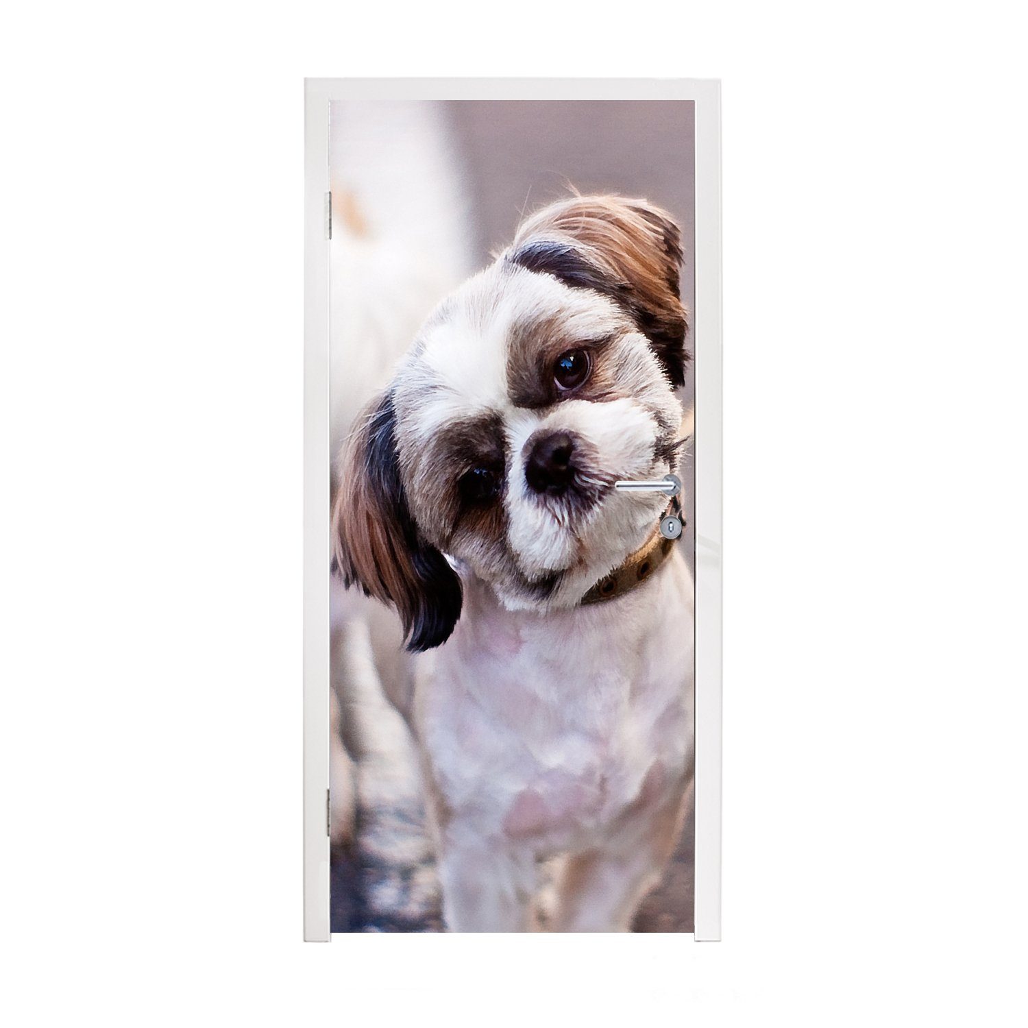 MuchoWow Türtapete Ein süßer Shih Tzu Hund, Matt, bedruckt, (1 St), Fototapete für Tür, Türaufkleber, 75x205 cm