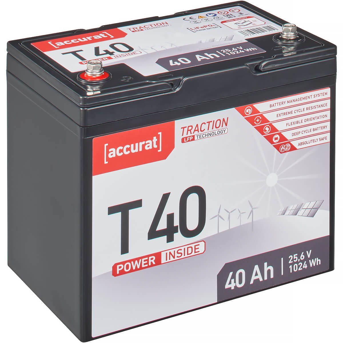 accurat 24V 40Ah LiFePO4 Lithium Batterie 1024Wh BMS Akku Batterie, (24 V)