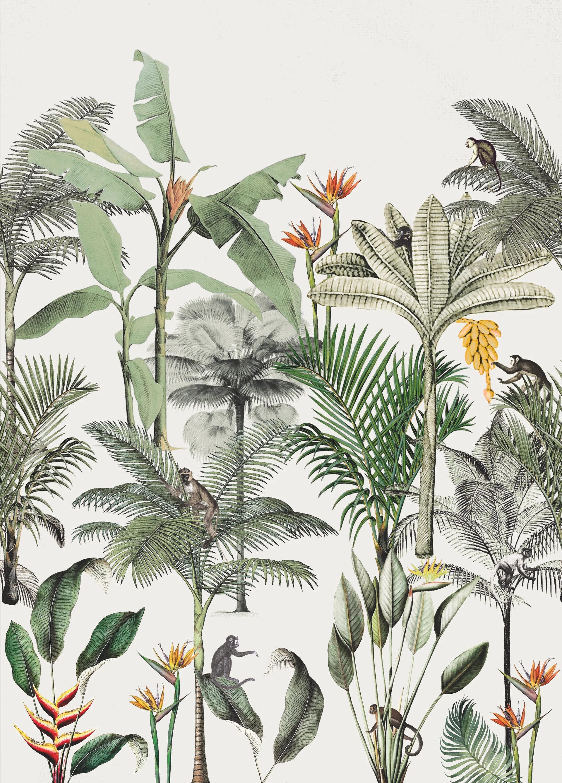 Rasch Fototapete Rasch Amazing, Exotic, grün 539172