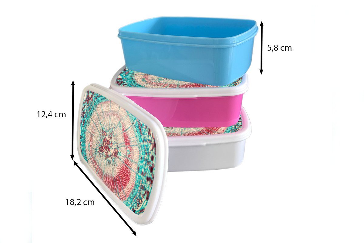 Snackbox, Blau - Lunchbox MuchoWow Mädchen, (2-tlg), Kunststoff, Kinder, rosa Rot, Brotbox Kreis für Erwachsene, Kunststoff Brotdose -