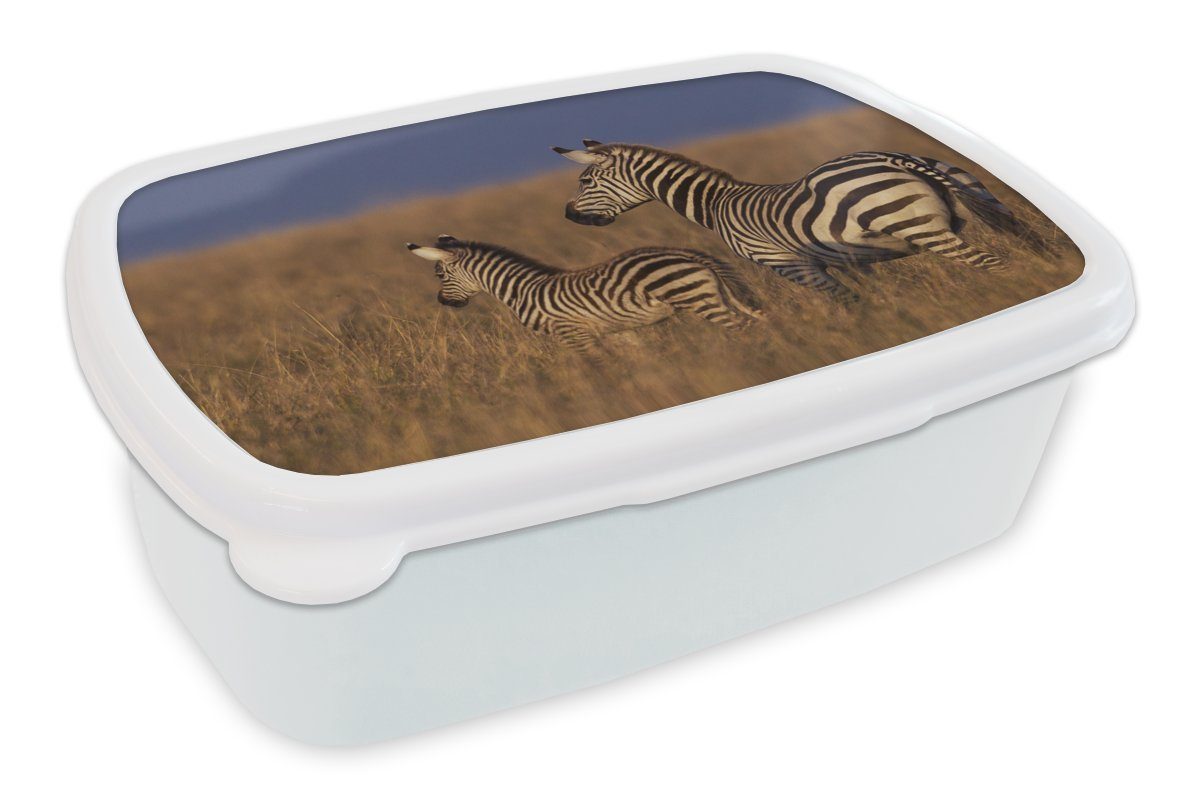 MuchoWow Lunchbox Mutter und Babyzebra, Kunststoff, (2-tlg), Brotbox für Kinder und Erwachsene, Brotdose, für Jungs und Mädchen weiß