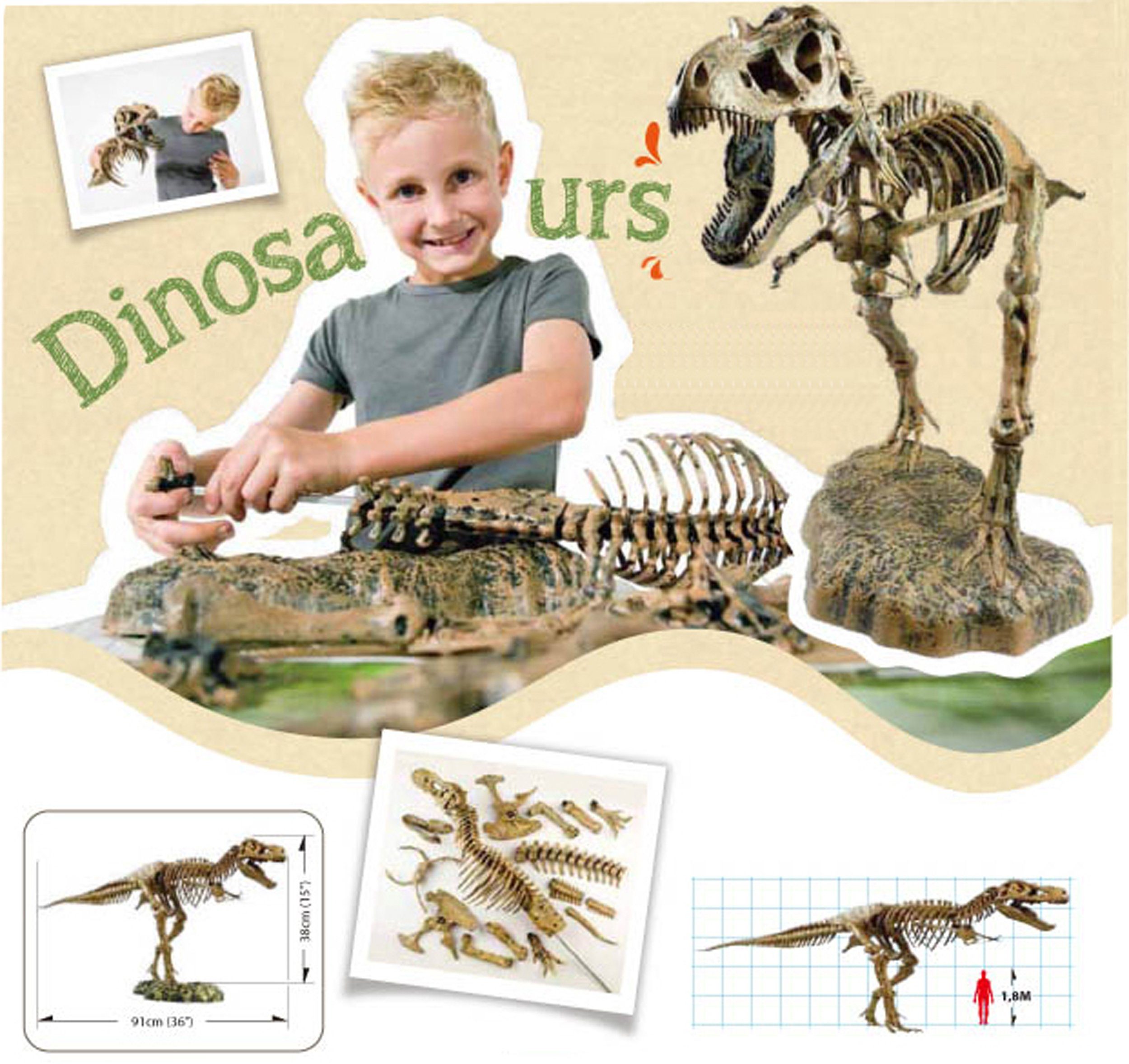Edu-Toys Experimentierkasten T-Rex Rex verständlich Modell mit große leicht Detailtreue aufzubauen, Bausatz, Ständer Skelett (51-tlg), Tyrannosaurus 91cm