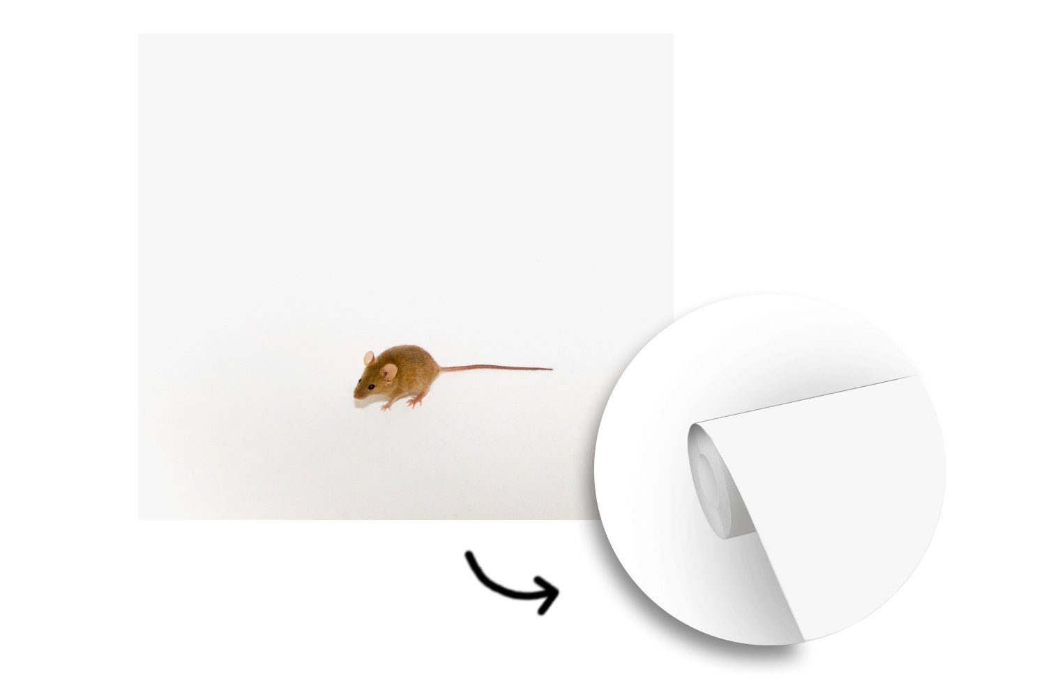 St), oder (5 bedruckt, Matt, Wohnzimmer - Wandtapete Tiere Weiß, Maus Fototapete für - Tapete Vinyl Schlafzimmer, MuchoWow