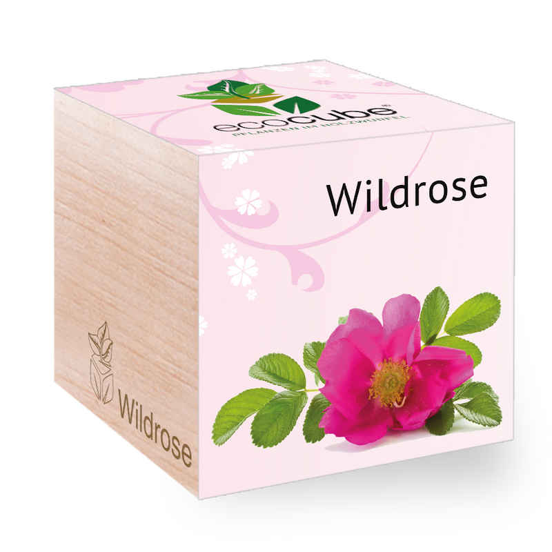 Feel Green Blumenerde Ecocube Wildrose von Feel Green, Nachhaltige Geschenkidee, (1-St)