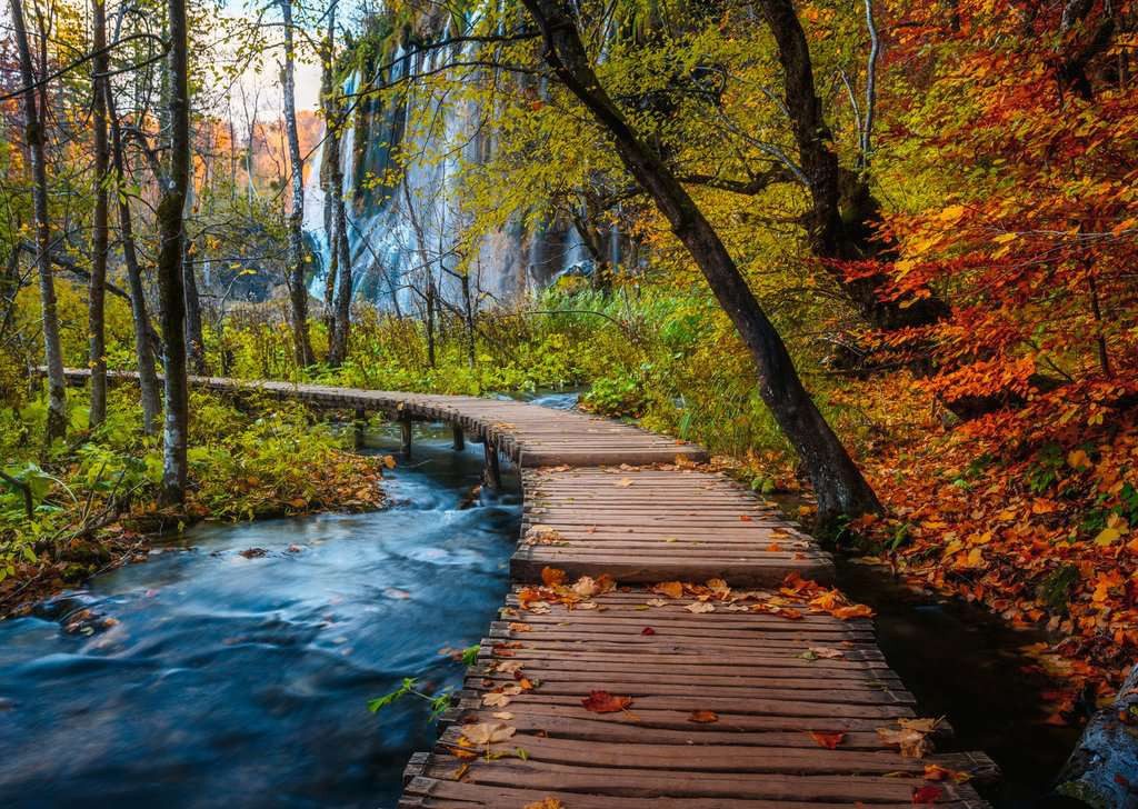 Ravensburger Puzzle Herbstlicher Waldweg – 1000 Teile Puzzle von Ravensburger, 1000 Puzzleteile