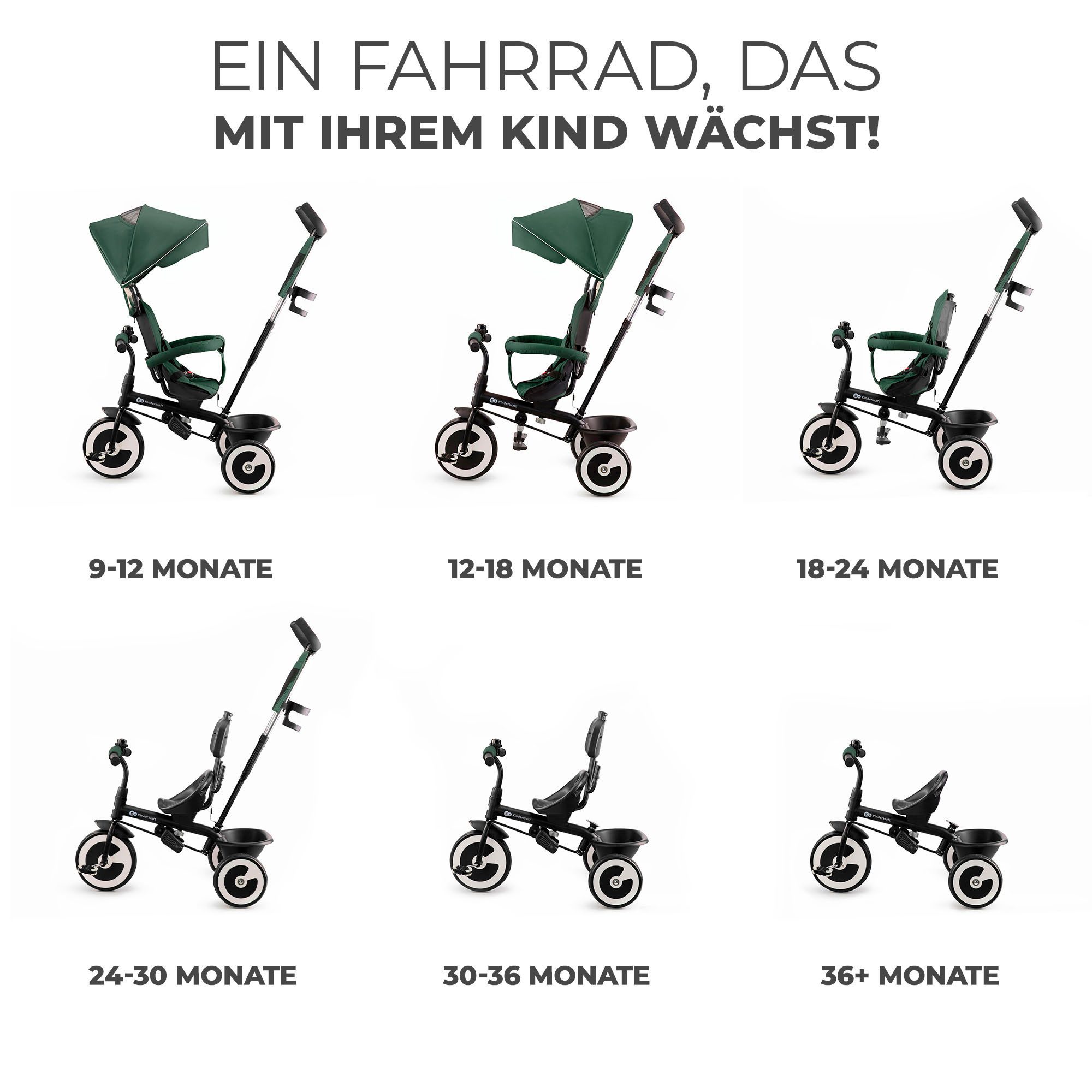 Kinderkraft Dreirad ASTON, mitwachsend günstig online kaufen