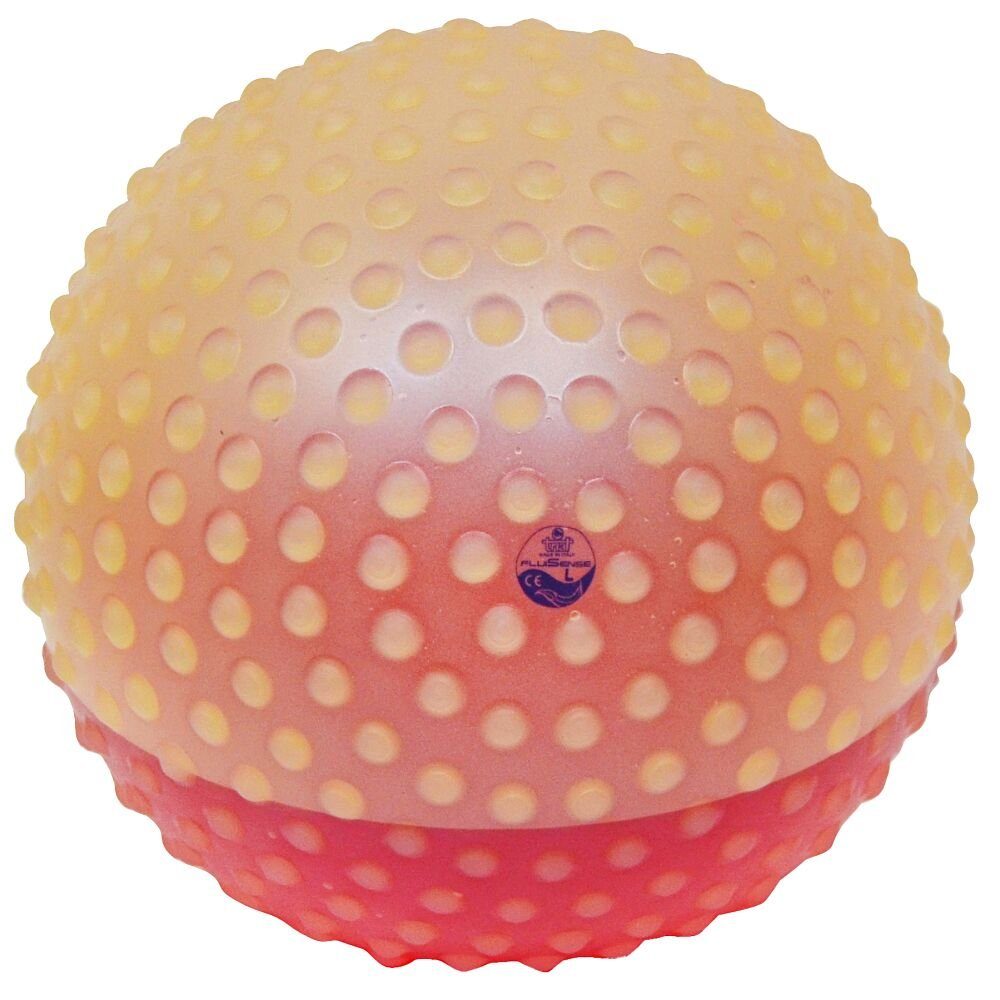 Trial Medizinball Medizinball Fluisense, Vielseitig einsetzbar in Reha, Ergotherapie und Yoga-Klassen