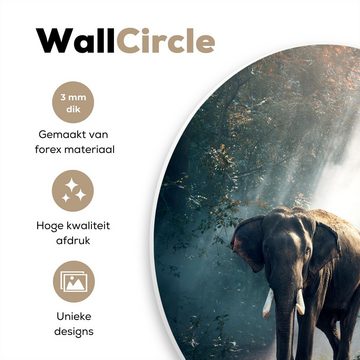 MuchoWow Gemälde Elefant - Tiere - Licht - Wald - Natur - Wildtiere, (1 St), Kreis Wanddekoration Forex, Rundes Wandbild, Wohnzimmer, 30x30 cm
