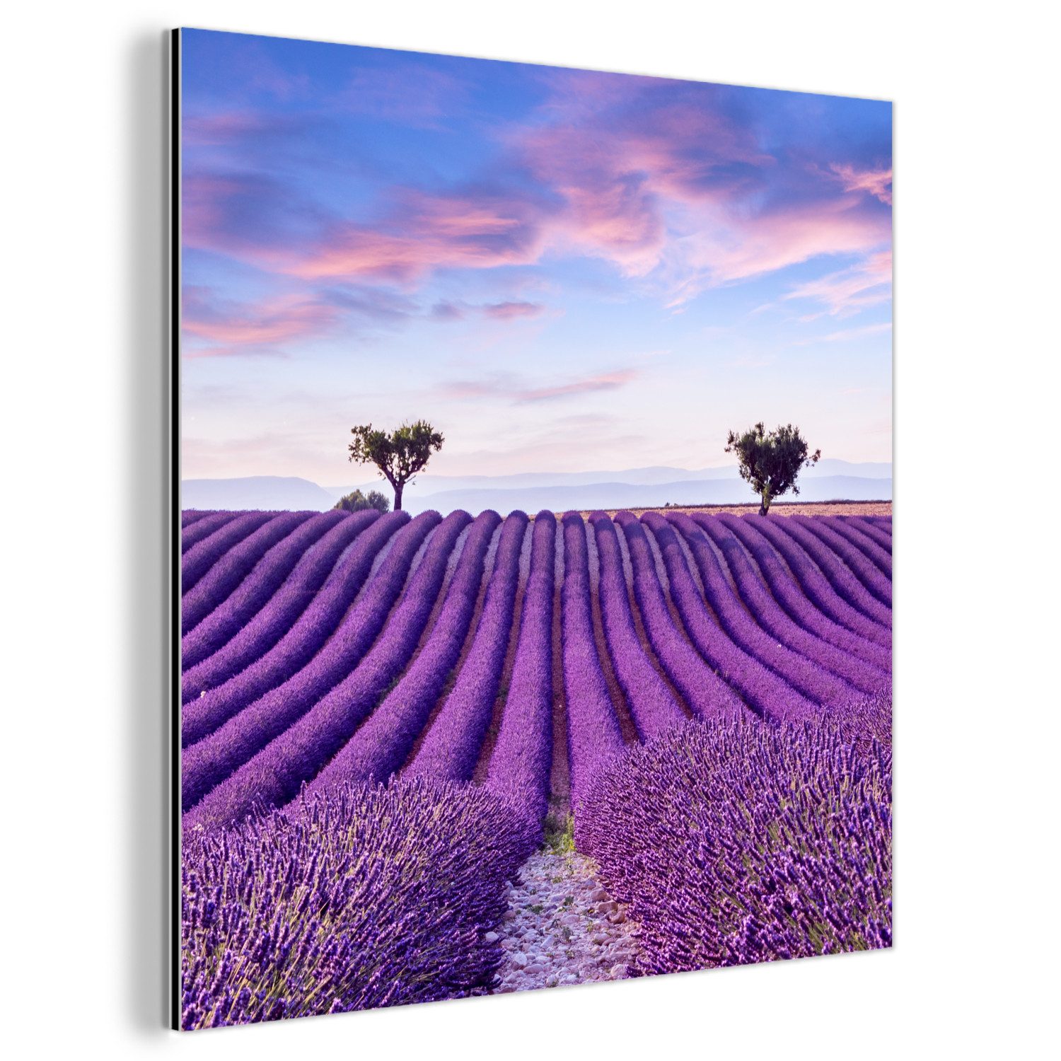 MuchoWow Metallbild Lavendel - Natur - günstig online kaufen