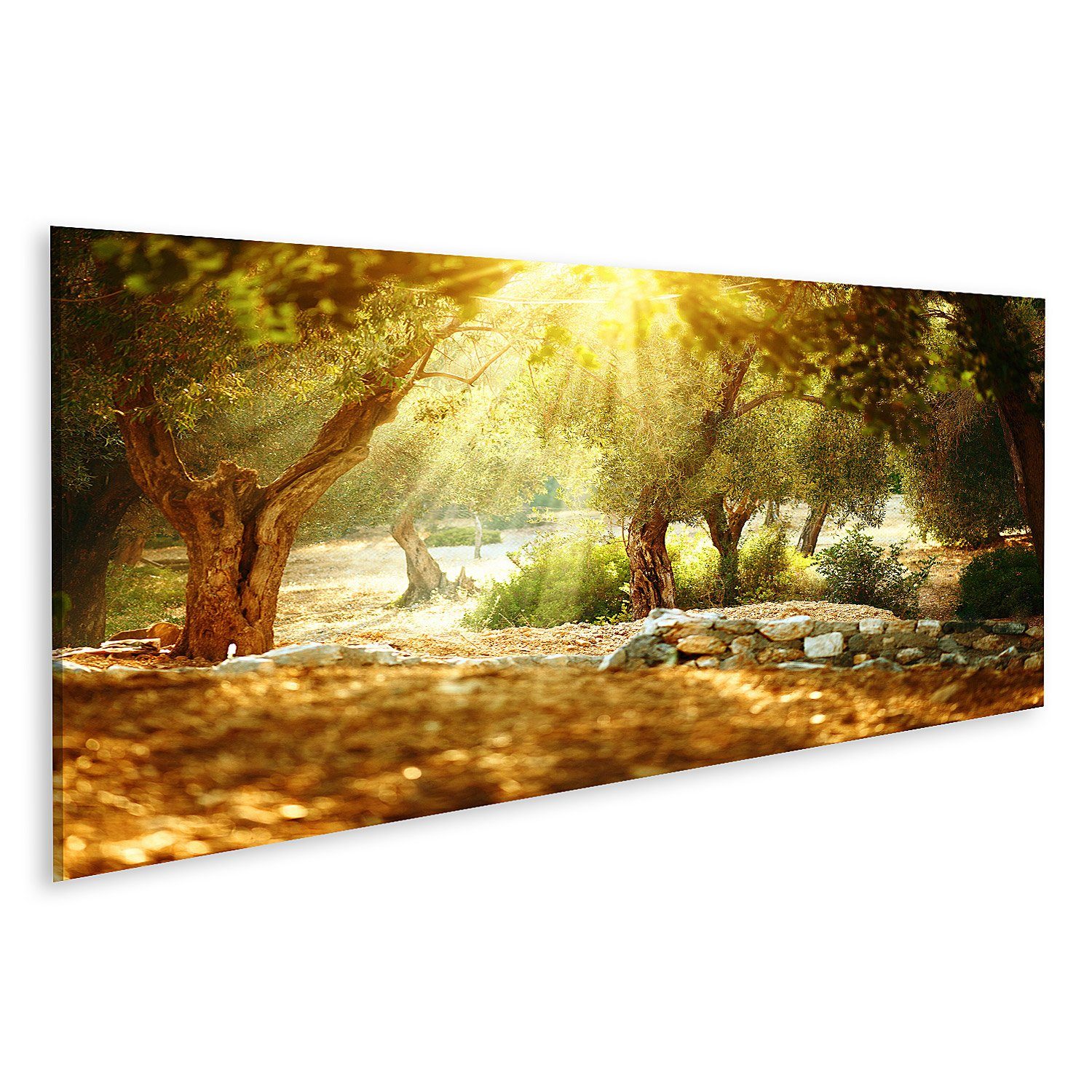 islandburner Leinwandbild Bild auf Leinwand Olive günstig online kaufen