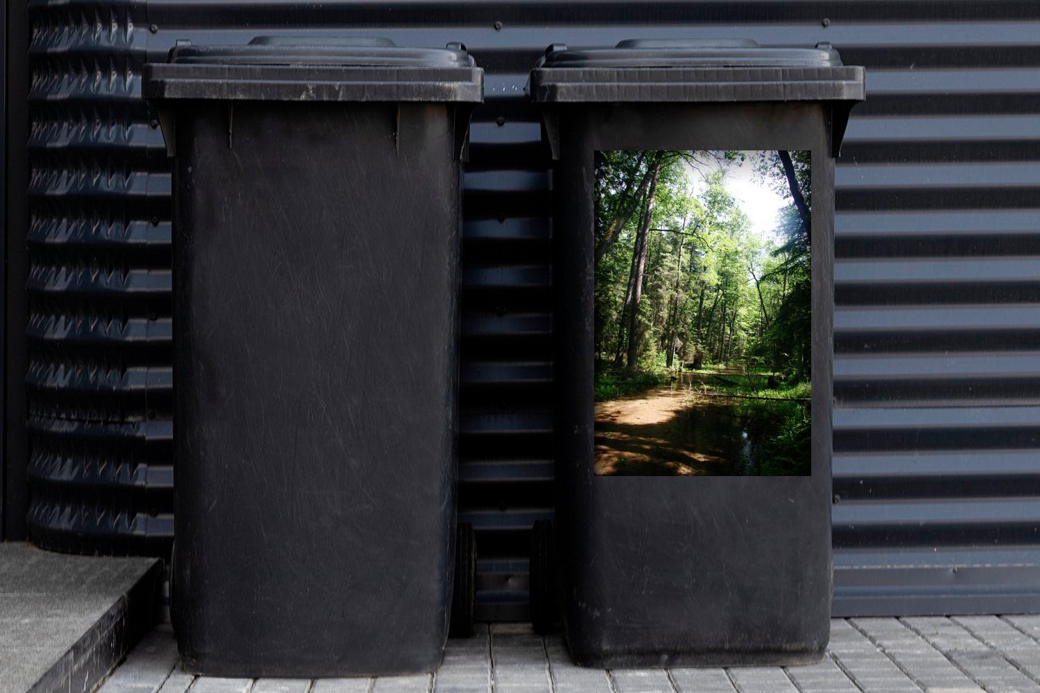 Sandstraße Mülltonne, Polen MuchoWow Roztocze-Nationalparks St), Abfalbehälter (1 in Wäldern Container, des Mülleimer-aufkleber, Wandsticker den Sticker, in