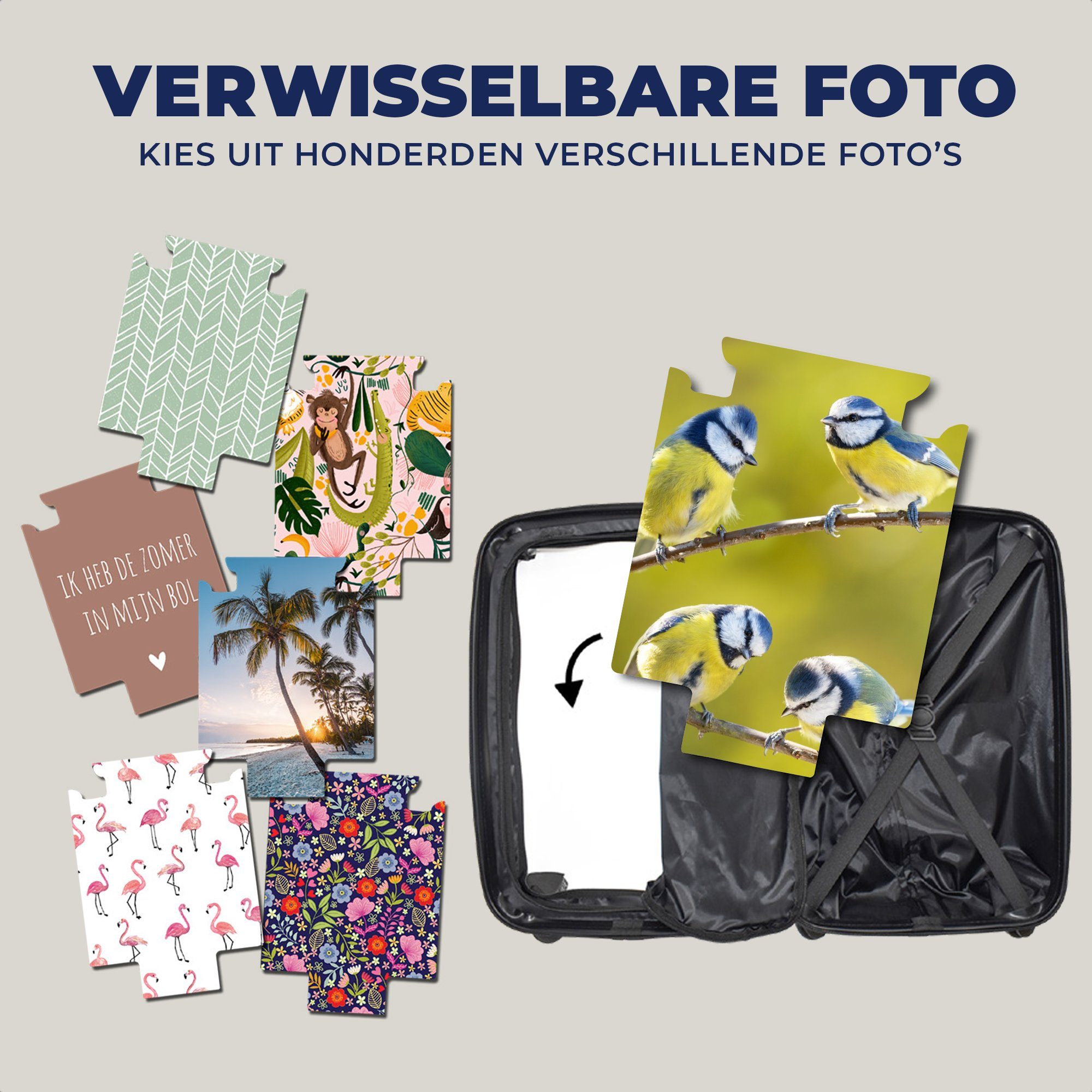 Ferien, MuchoWow Trolley, rollen, - Reisetasche Äste - Rollen, für 4 Vogel Sonne, mit Handgepäckkoffer Handgepäck - Blaumeise Reisekoffer