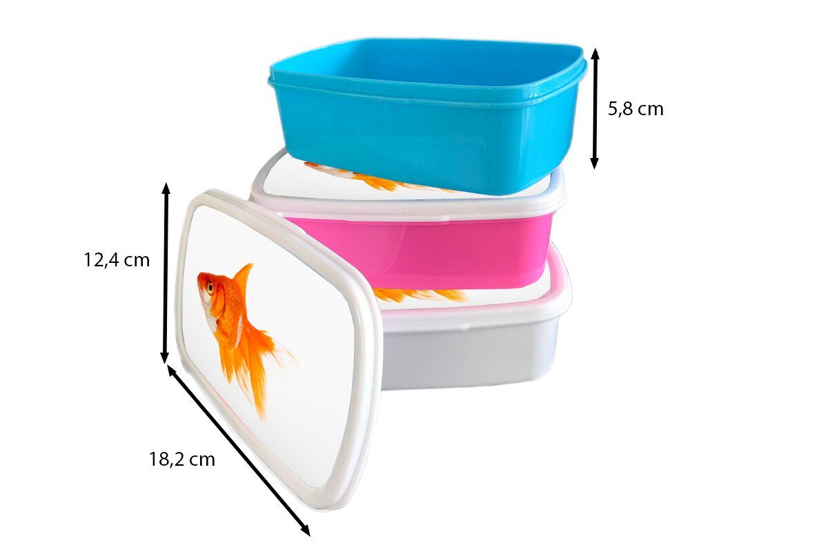 - für - Mädchen Weiß, MuchoWow Kunststoff, und und Goldfisch Fisch Jungs Erwachsene, Brotbox (2-tlg), Lunchbox für Kinder Brotdose,