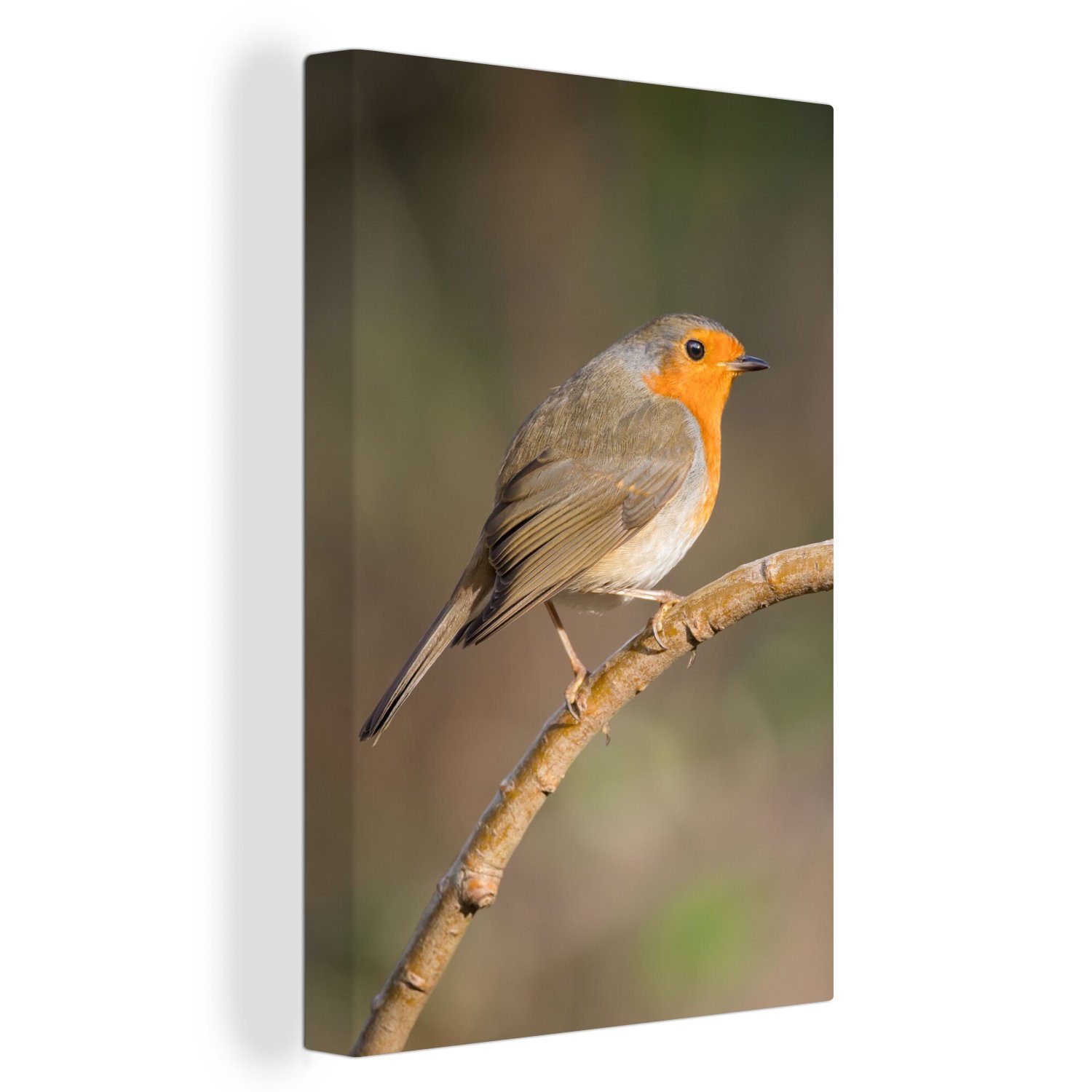 OneMillionCanvasses® Leinwandbild Rotkehlchen - Vogel - Natur, Fotodruck (1 günstig online kaufen