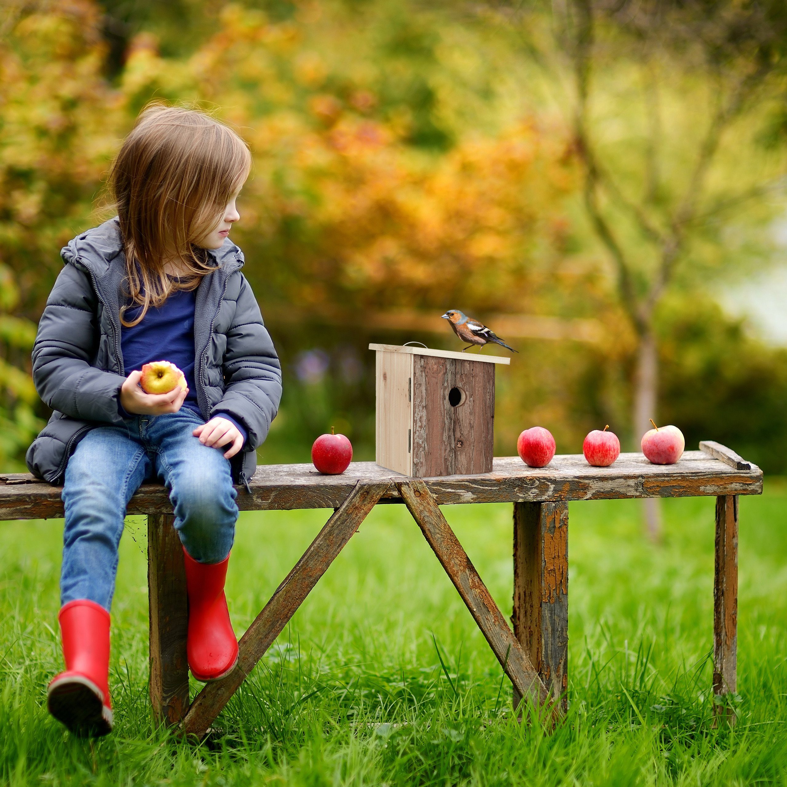 relaxdays Nistkasten für Vögel