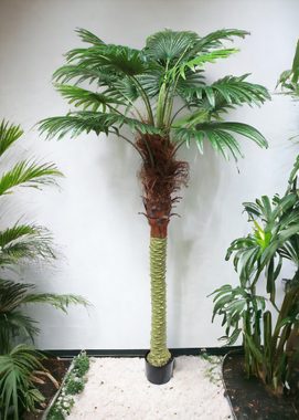 Kunstpalme große künstliche Palme Kunstpflanze Fächerpalme mit Topf Fächerpalme, Arnusa, Höhe 200 cm, Zimmerpflanze Dekoration