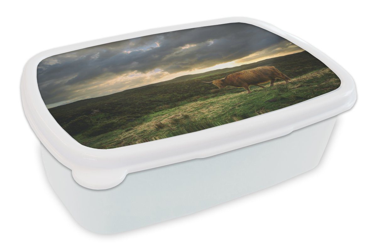 MuchoWow Lunchbox Schottischer Hochländer - Landschaft - Kuh, Kunststoff, (2-tlg), Brotbox für Kinder und Erwachsene, Brotdose, für Jungs und Mädchen weiß
