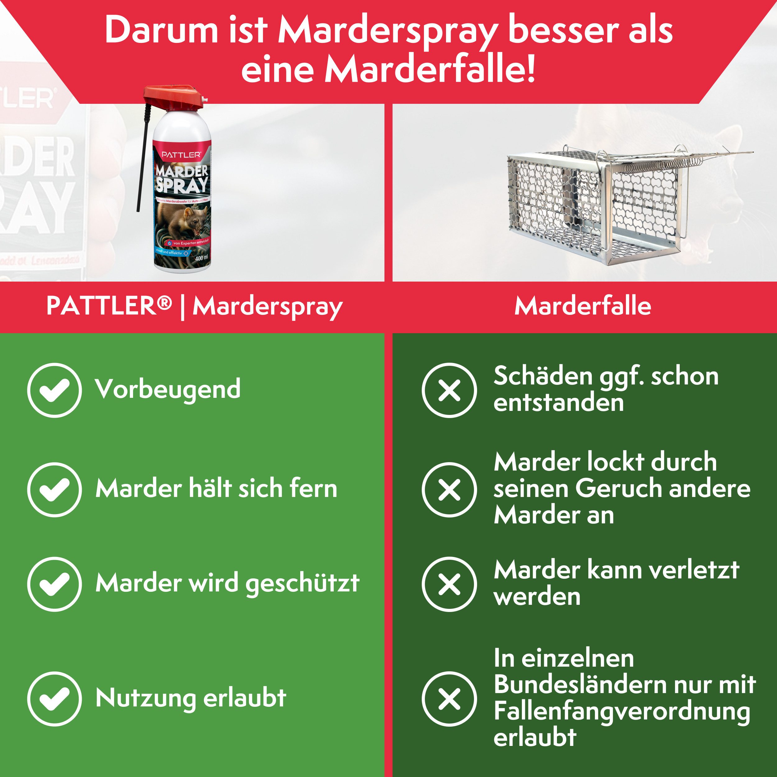 Pattler Marderspray Hochwirksam mit Sofortwirkung, 400 ml, 400 ml – Bild 3 von 5