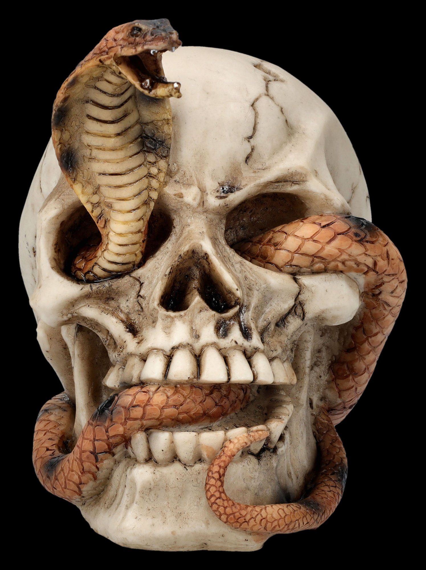 Figuren Shop GmbH Fantasy-Figur Totenkopf Figur - Kobra Schädel - Gothic De günstig online kaufen