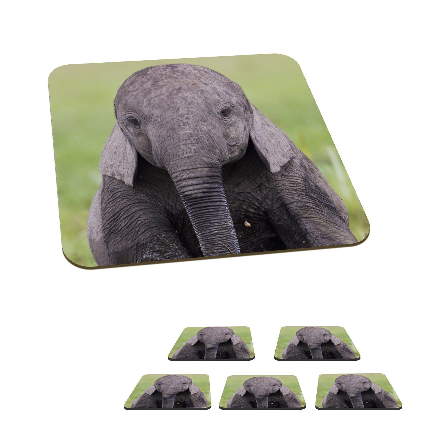 MuchoWow Glasuntersetzer Elefant - - Korkuntersetzer, Tiere Tischuntersetzer, Natur, Gras - Glasuntersetzer, Tasse Gläser, Zubehör Baby - 6-tlg., Untersetzer, für