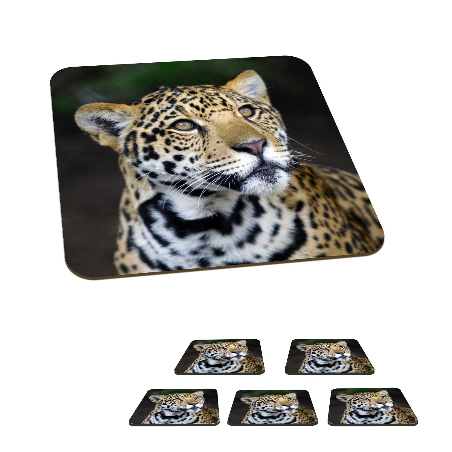 für MuchoWow - Glasuntersetzer, - Glasuntersetzer Leopard Korkuntersetzer, Kopf Tasse Zubehör Untersetzer, Gläser, 6-tlg., Tischuntersetzer, Wald,