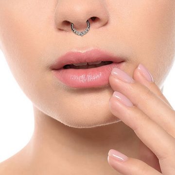 Taffstyle Nasenpiercing Septum Piercing Ring Segmentring Clicker Scharnier mit Kristallen, Nasenpiercing Nasenring Ohrpiercing Ohr Nase Tragus Helix Brust Intim