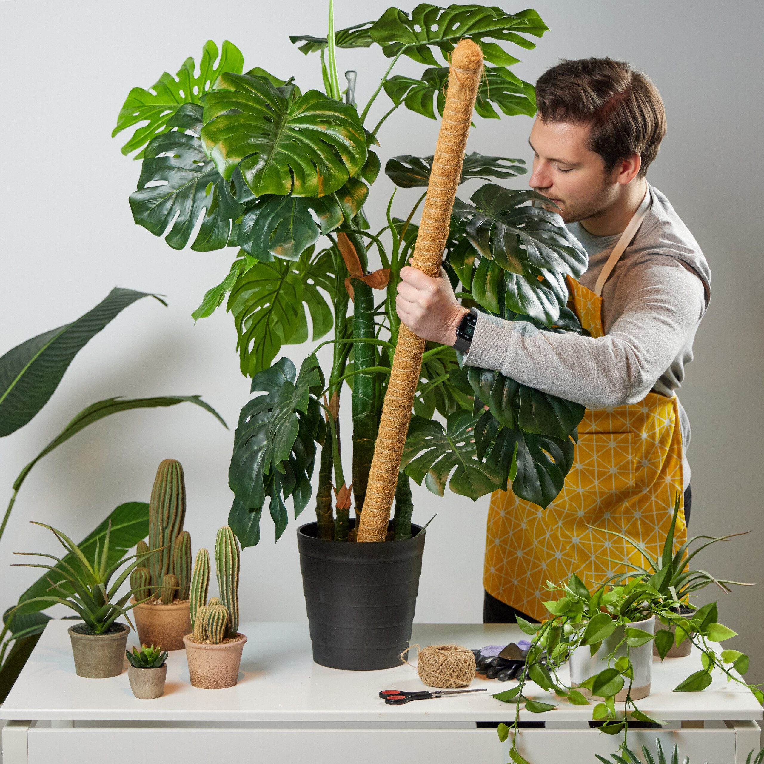 relaxdays Rankhilfe 5er Set Kokosstäbe 90 cm, 5 St.