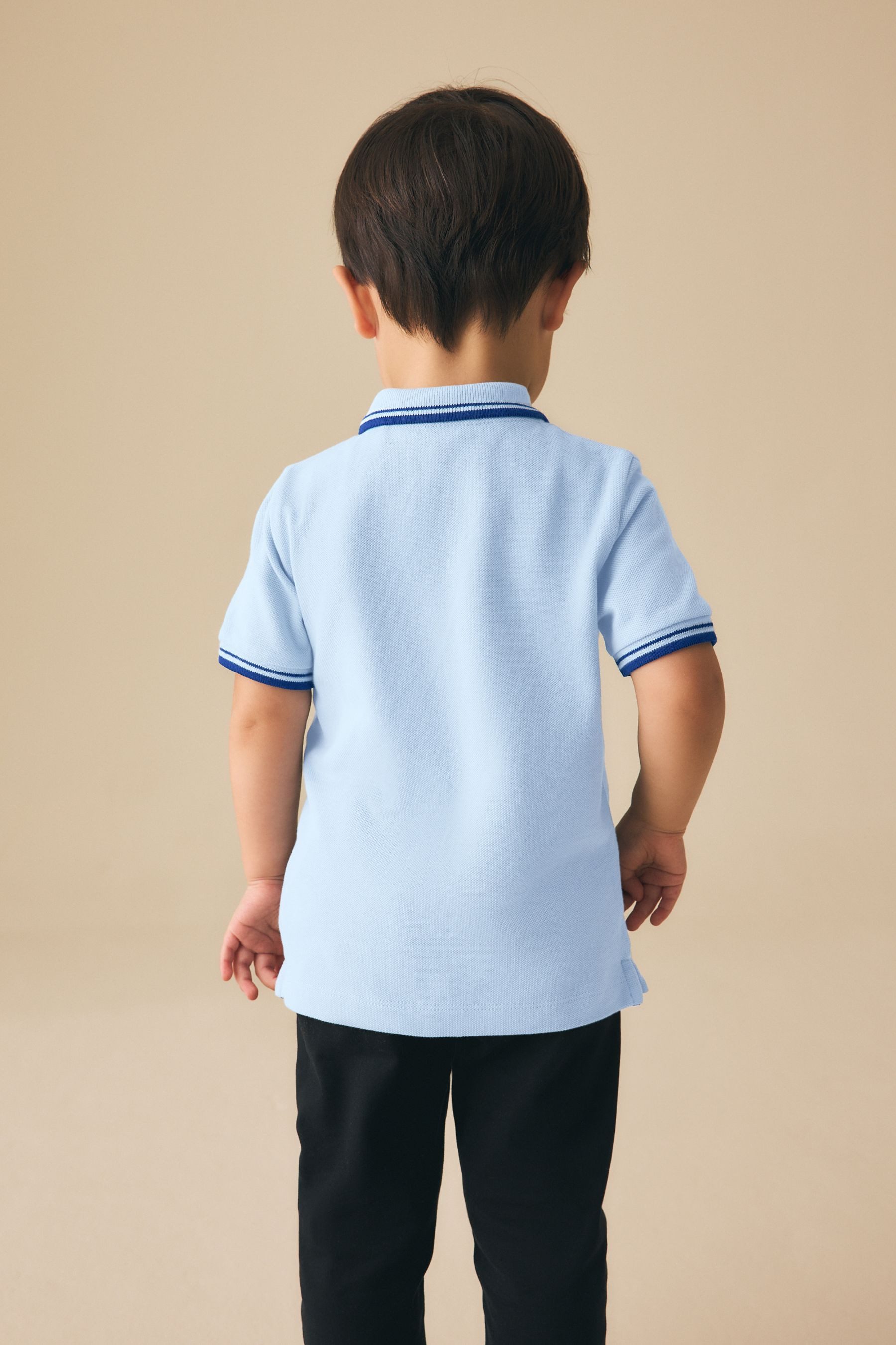 Next Poloshirt Kurzärmliges Poloshirt (1-tlg) – Bild 5 von 5