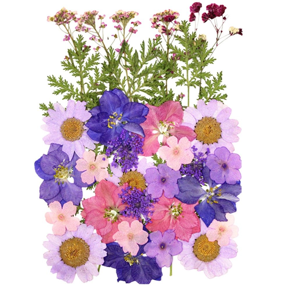 Trockenblume Gepresste Blumen, Getrocknete Blumen, DIY Getrocknete Blüten, Agger, für DIY Kerzen Harz Schmuck Anhänger Scrapbooking-Dekorationen