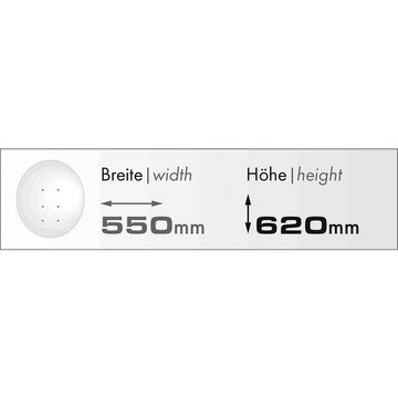 Schwaiger SAT Außeneinheit (55 cm + Twin LNB) für bis zu 2 SAT-Antenne