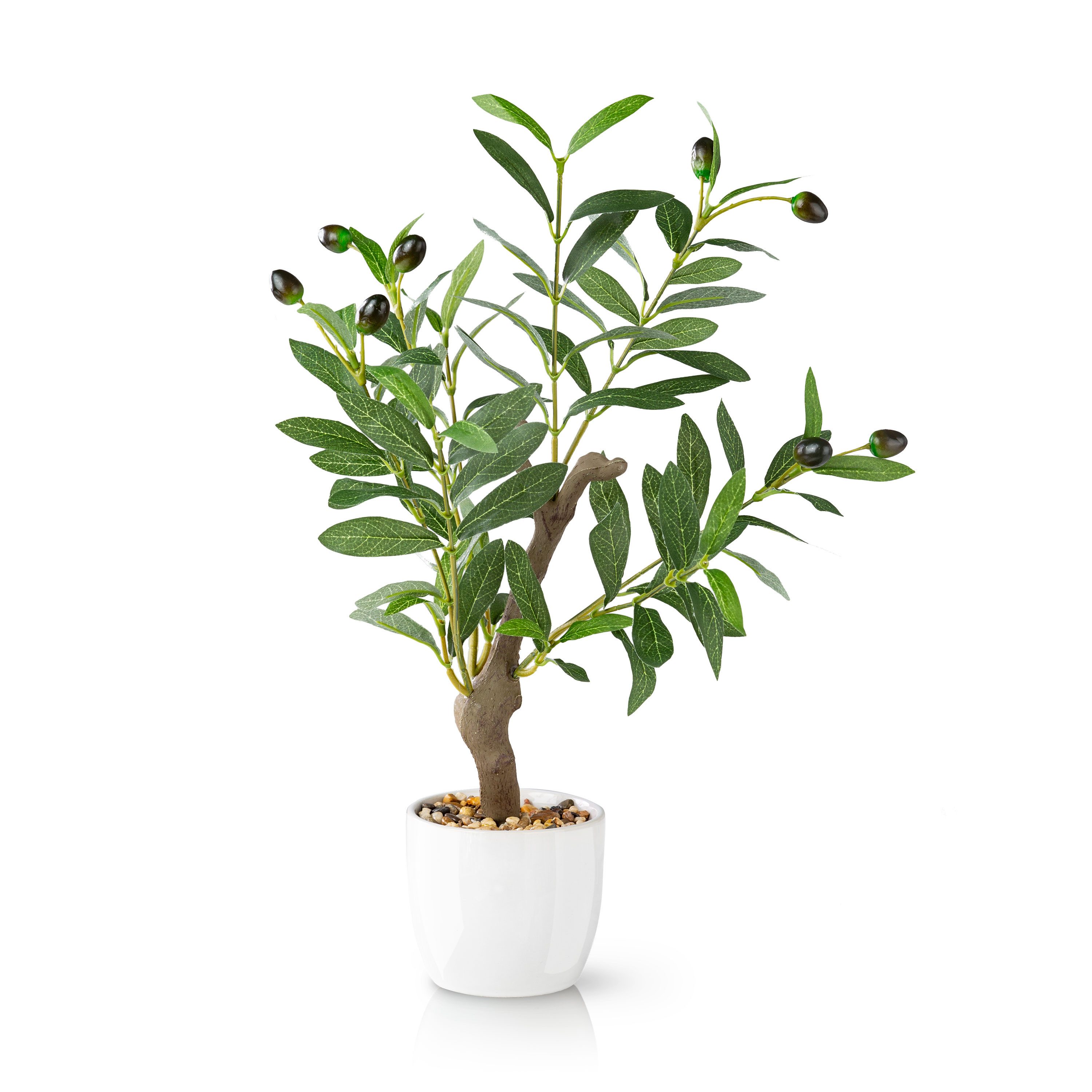 Kunstpflanze Olivenbaum künstlich klein, Kunstpflanzen wie echt Olive, PASC günstig online kaufen