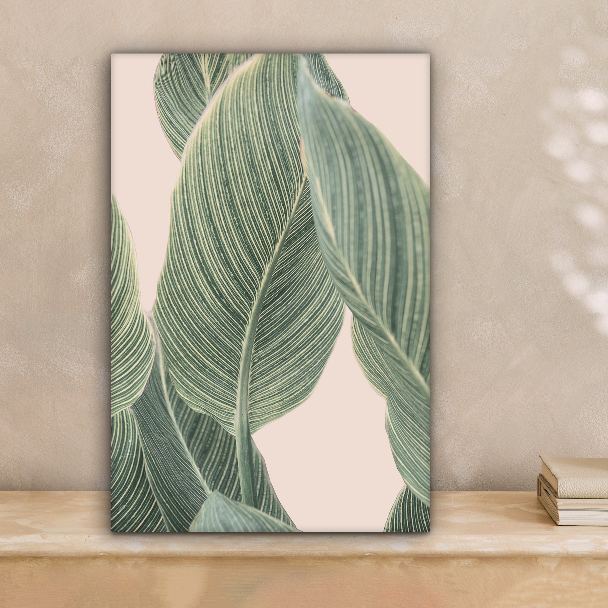 OneMillionCanvasses® Leinwandbild Pflanze - Grün - günstig online kaufen