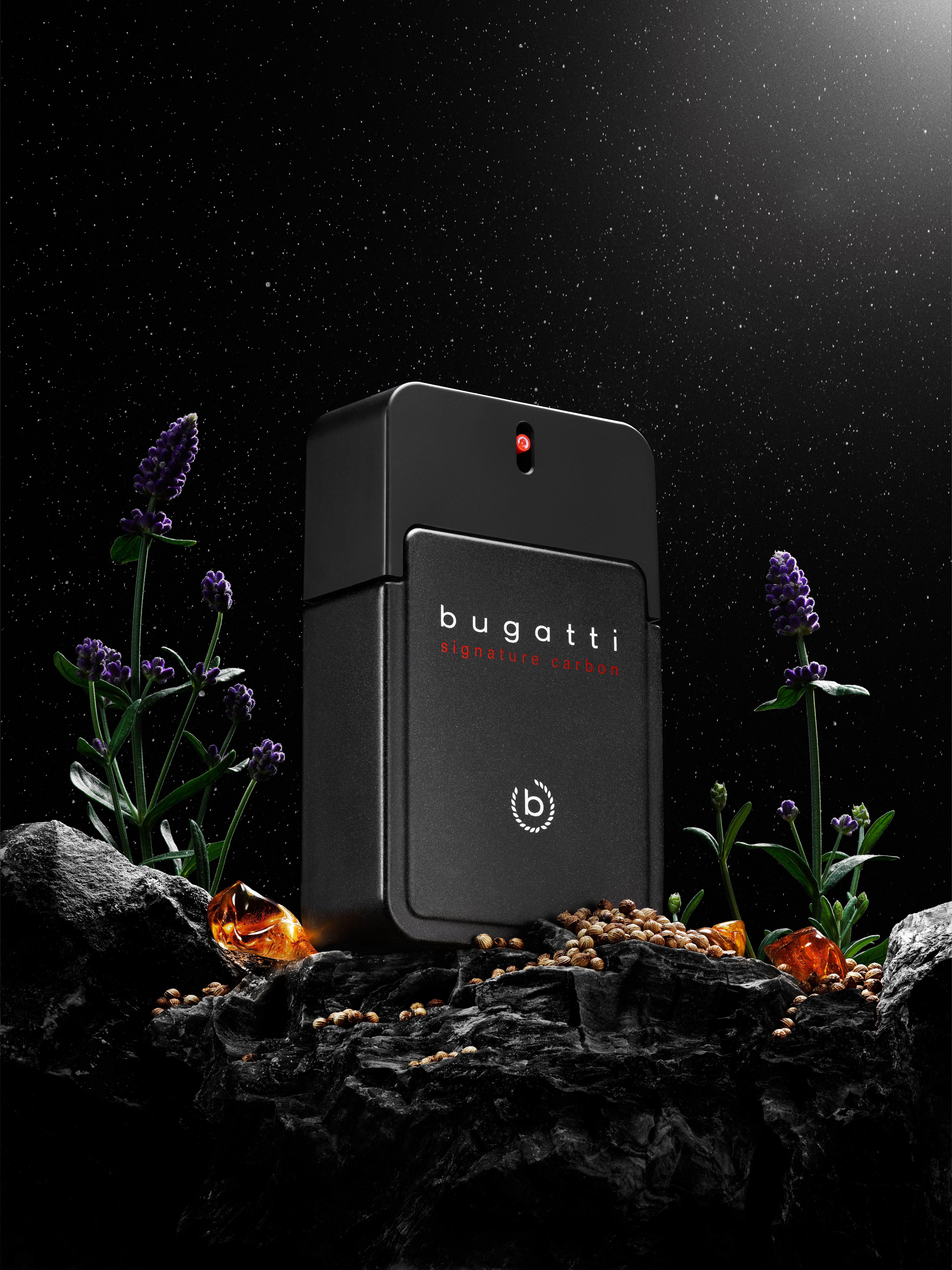 bugatti Eau de Toilette SIGNATURE CARBON FOR HIM EDT 100ml