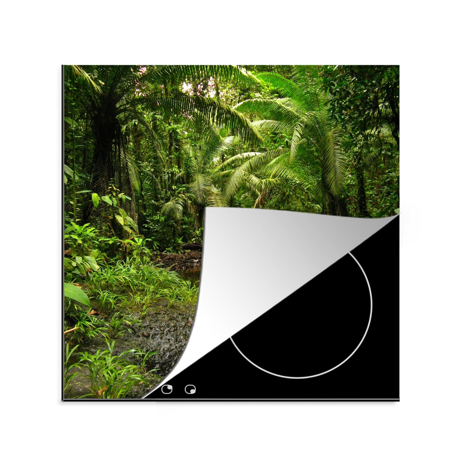 MuchoWow Herdblende-/Abdeckplatte Kolumbien - Dschungel - Pflanzen, Vinyl, (1 tlg), 78x78 cm, Ceranfeldabdeckung, Arbeitsplatte für küche