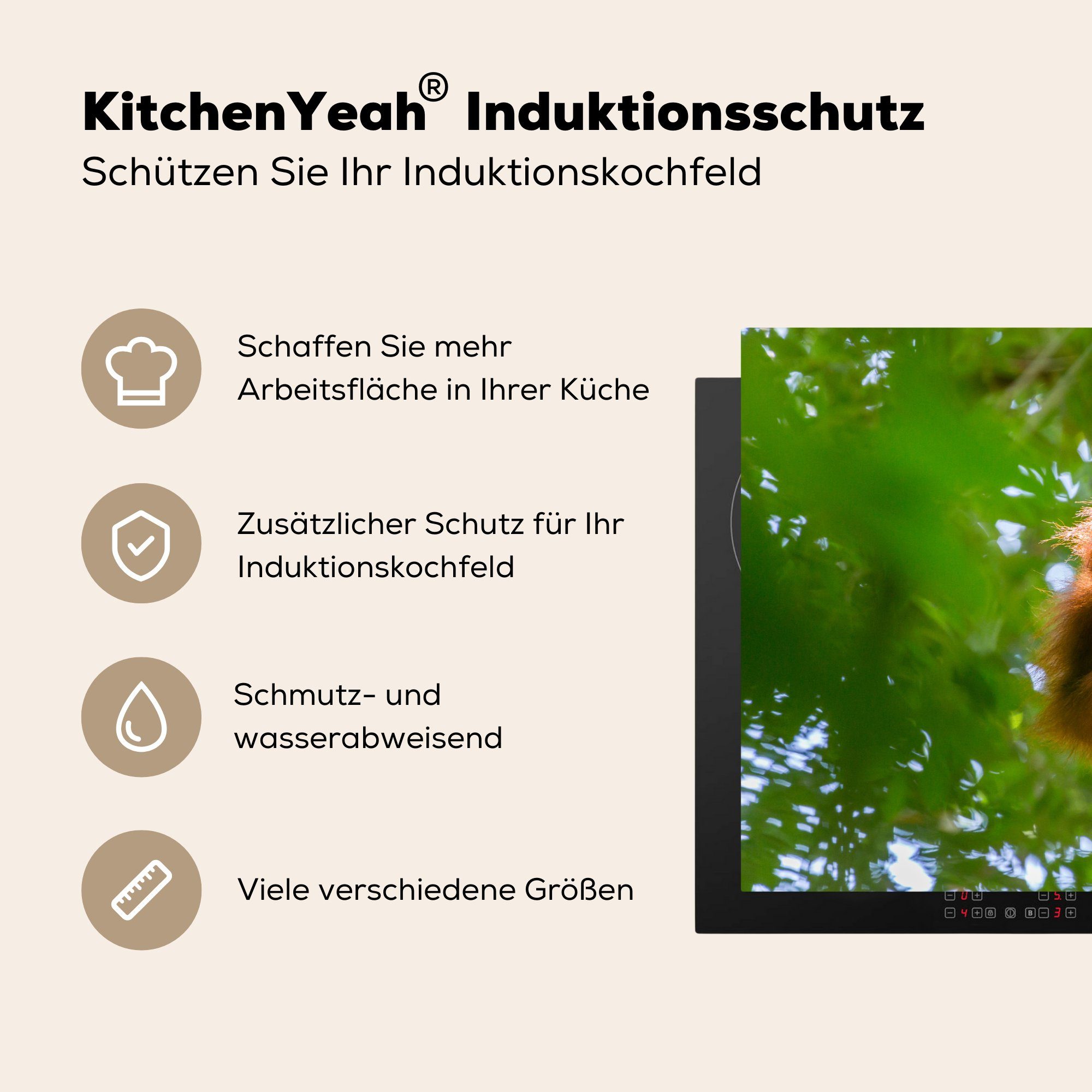 81x52 Baum Affe küche, - Vinyl, MuchoWow Induktionskochfeld - Herdblende-/Abdeckplatte Ceranfeldabdeckung (1 für Schutz Tiere, cm, tlg), die