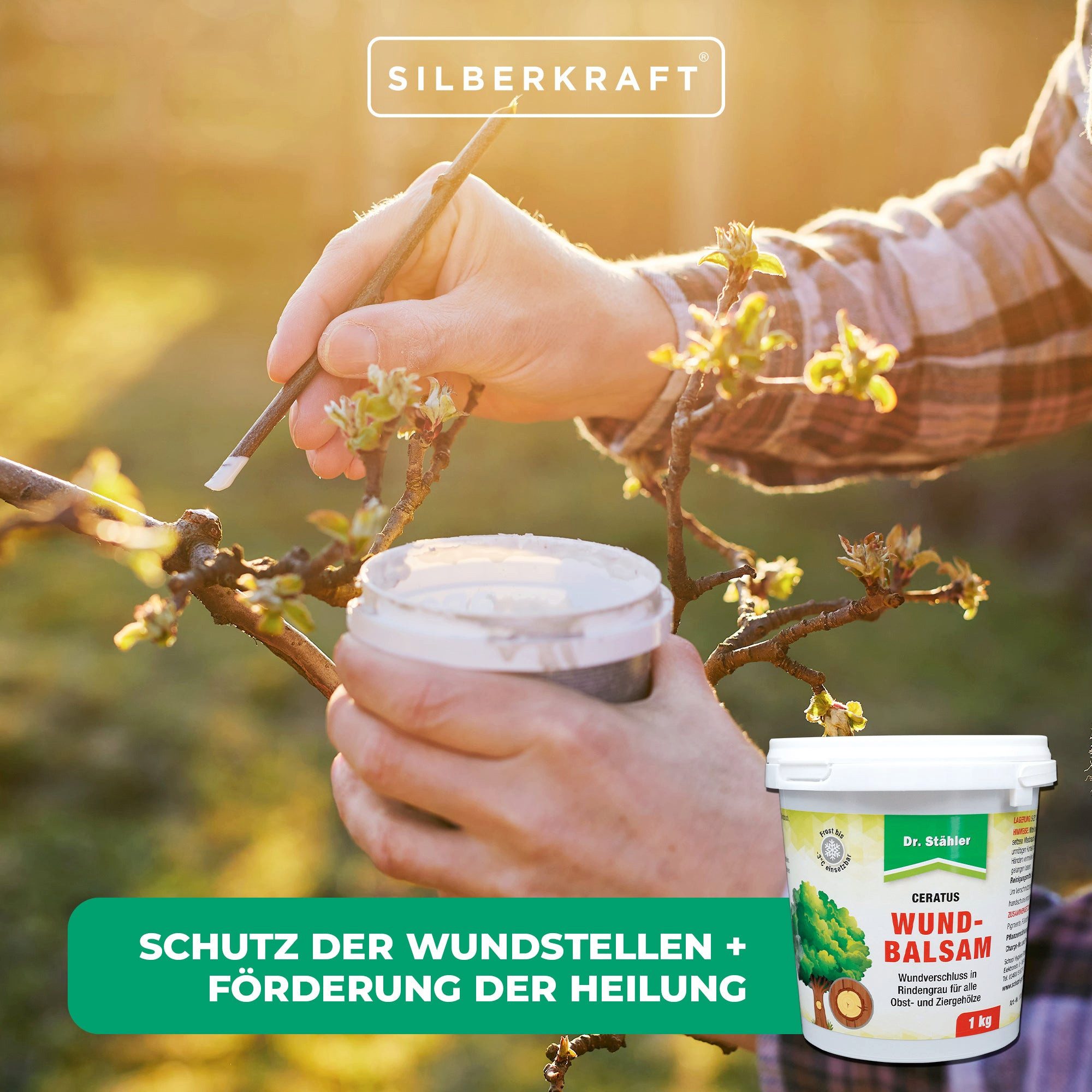 Dr. Stähler Baum-Wundverschluss Ceratus Wundbalsam – Mittel zur Wundversorgung für Bäume, 1000 g, Zuverlässiger Schutz vor Umwelteinflüssen & Keimen, Dauerhafte Wundpflege für Obst-, Zier- und Laubbäume, Zuverlässiger Schutz für Schnitt- und Rindenverletzungen