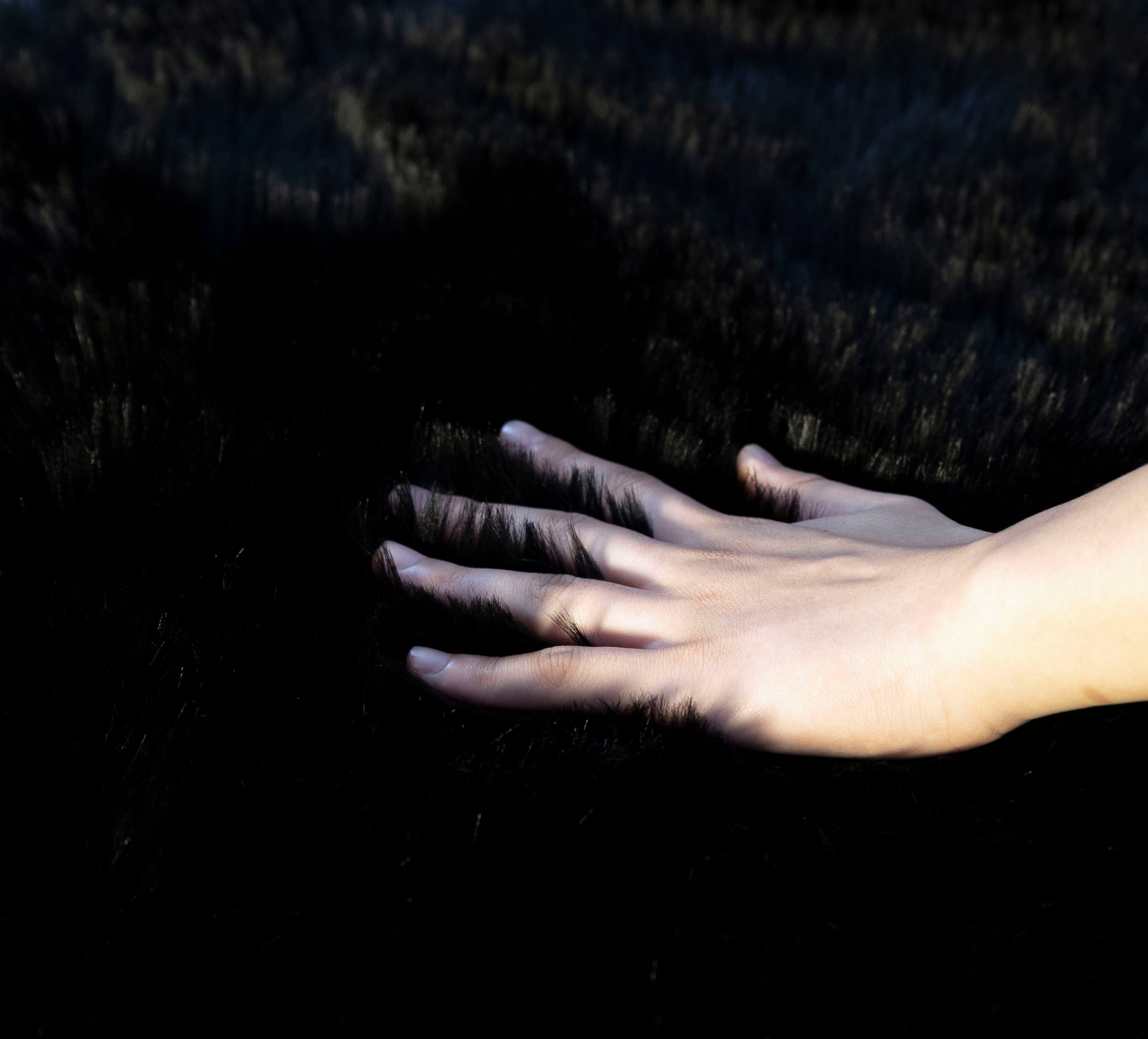 my home Fellteppich Dena, Hochflor Teppiche, rund, Höhe: 60 mm, Kunstfell, weich, Uni-Farben, Wohnzimmer, Schlafzimmer, Esszimmer