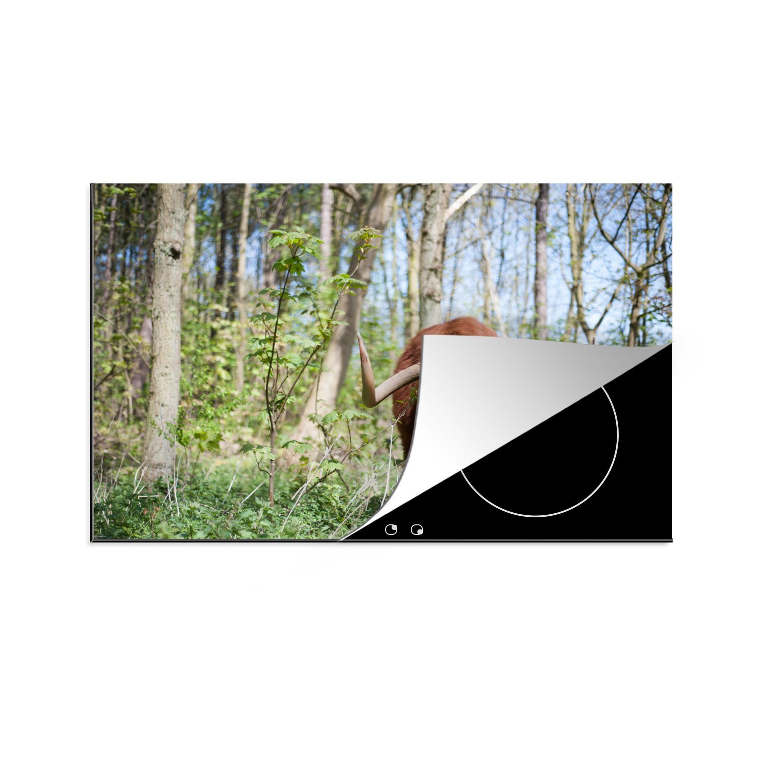 MuchoWow Herdblende-/Abdeckplatte Schottischer Highlander - Wald - Schottische Kuh, Vinyl, (1 tlg), 81x52 cm, Induktionskochfeld Schutz für die küche, Ceranfeldabdeckung